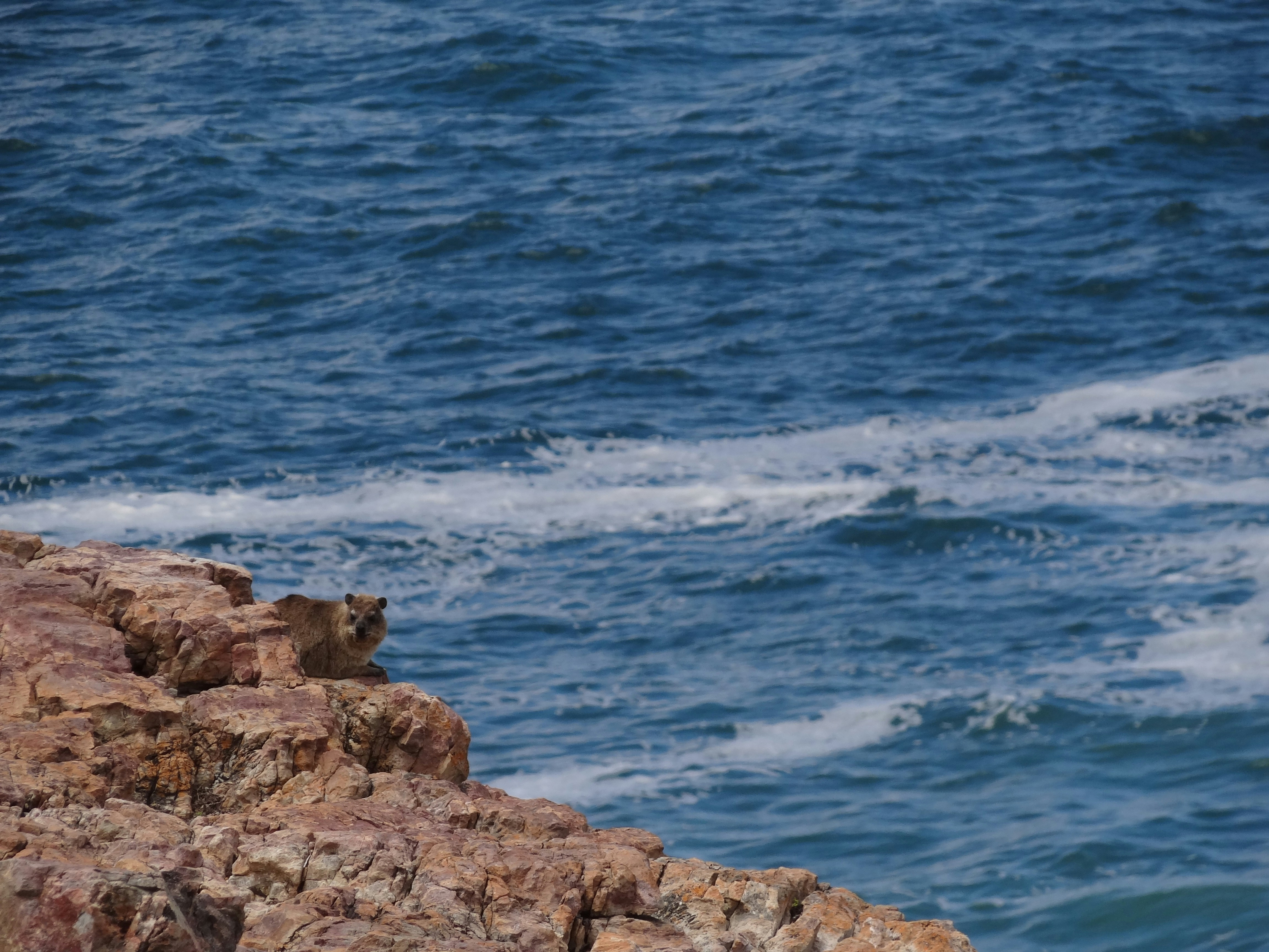 Photo by emilyclickinson