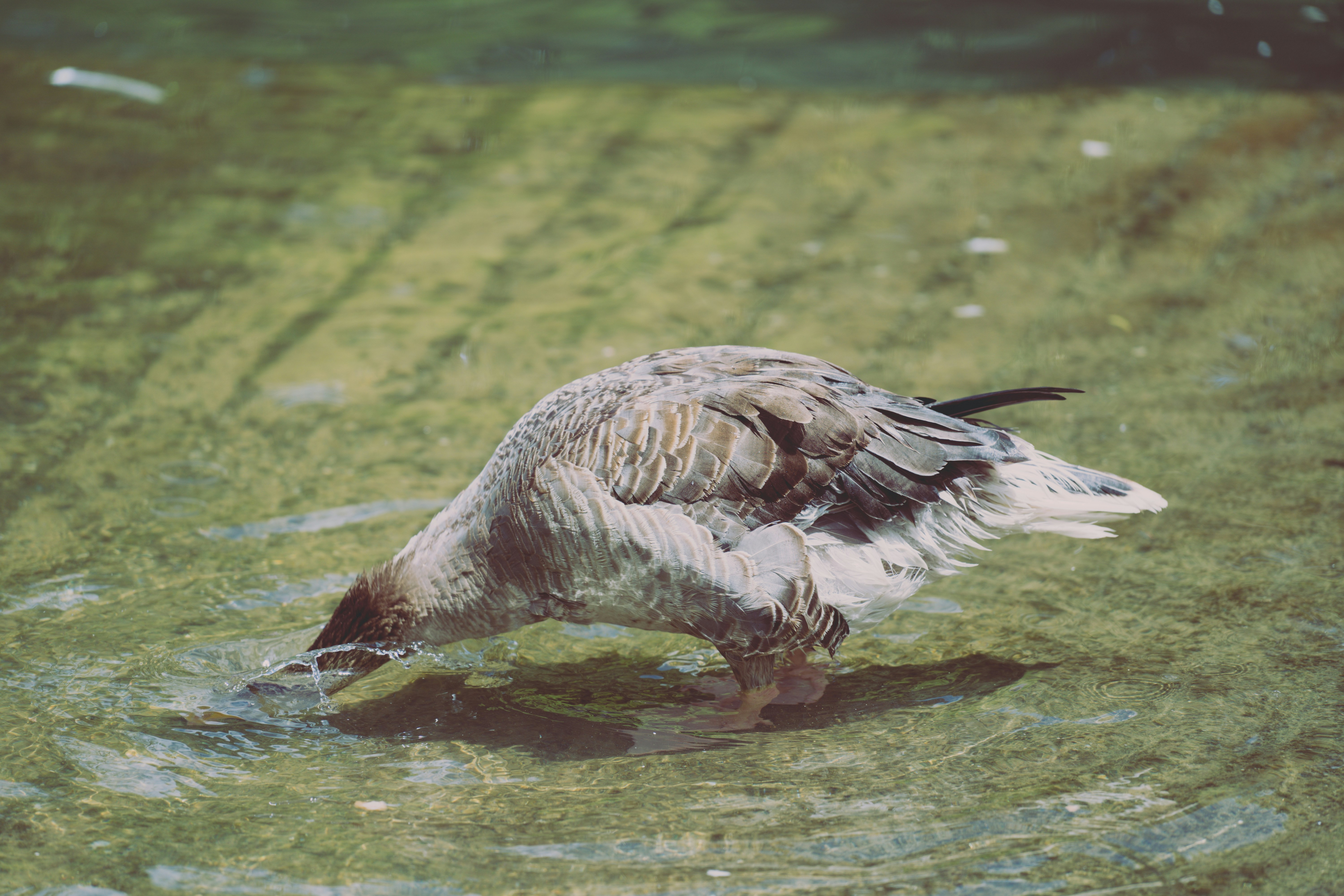 Photo by ivan_sanchez