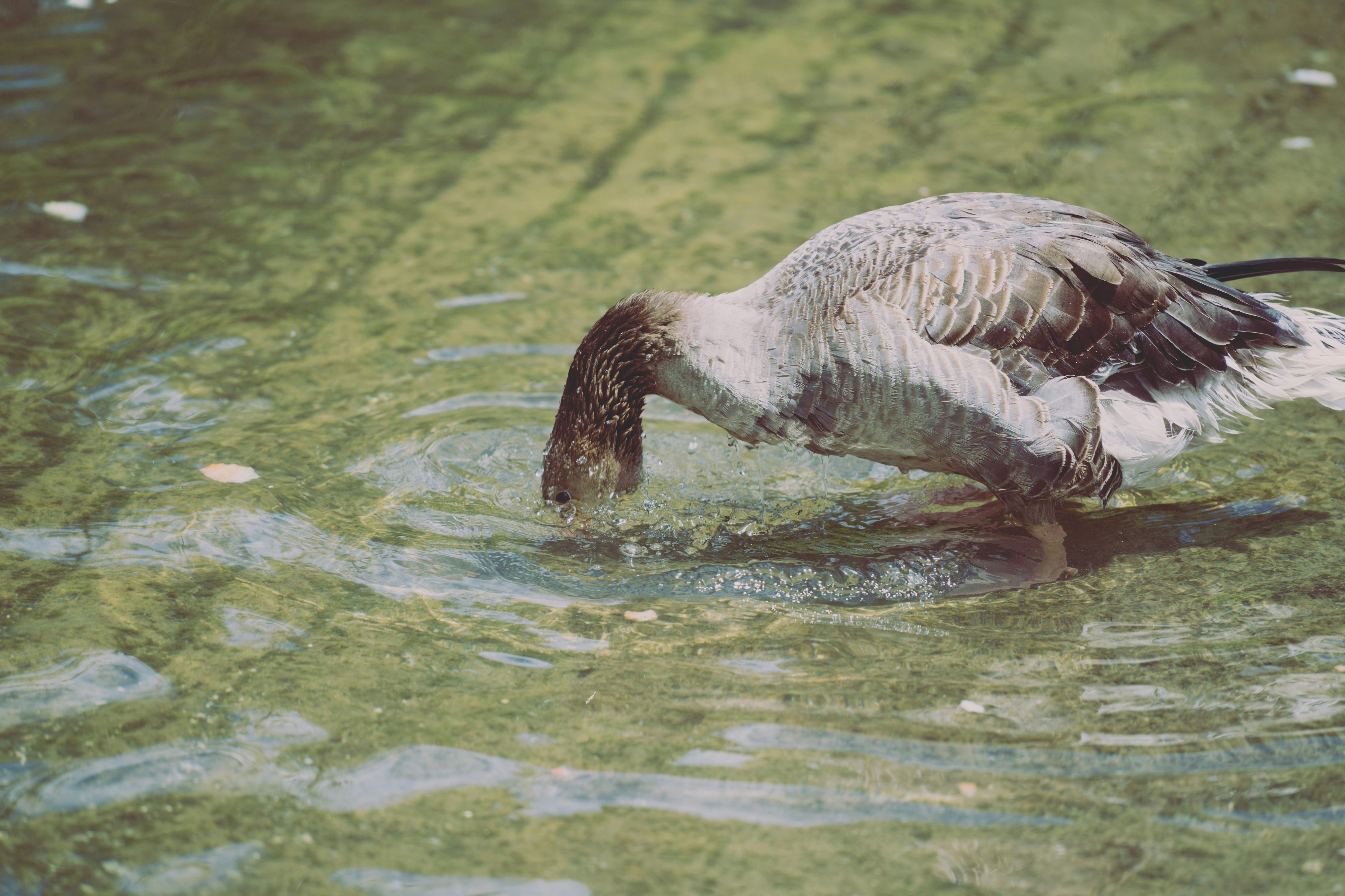 Photo by ivan_sanchez