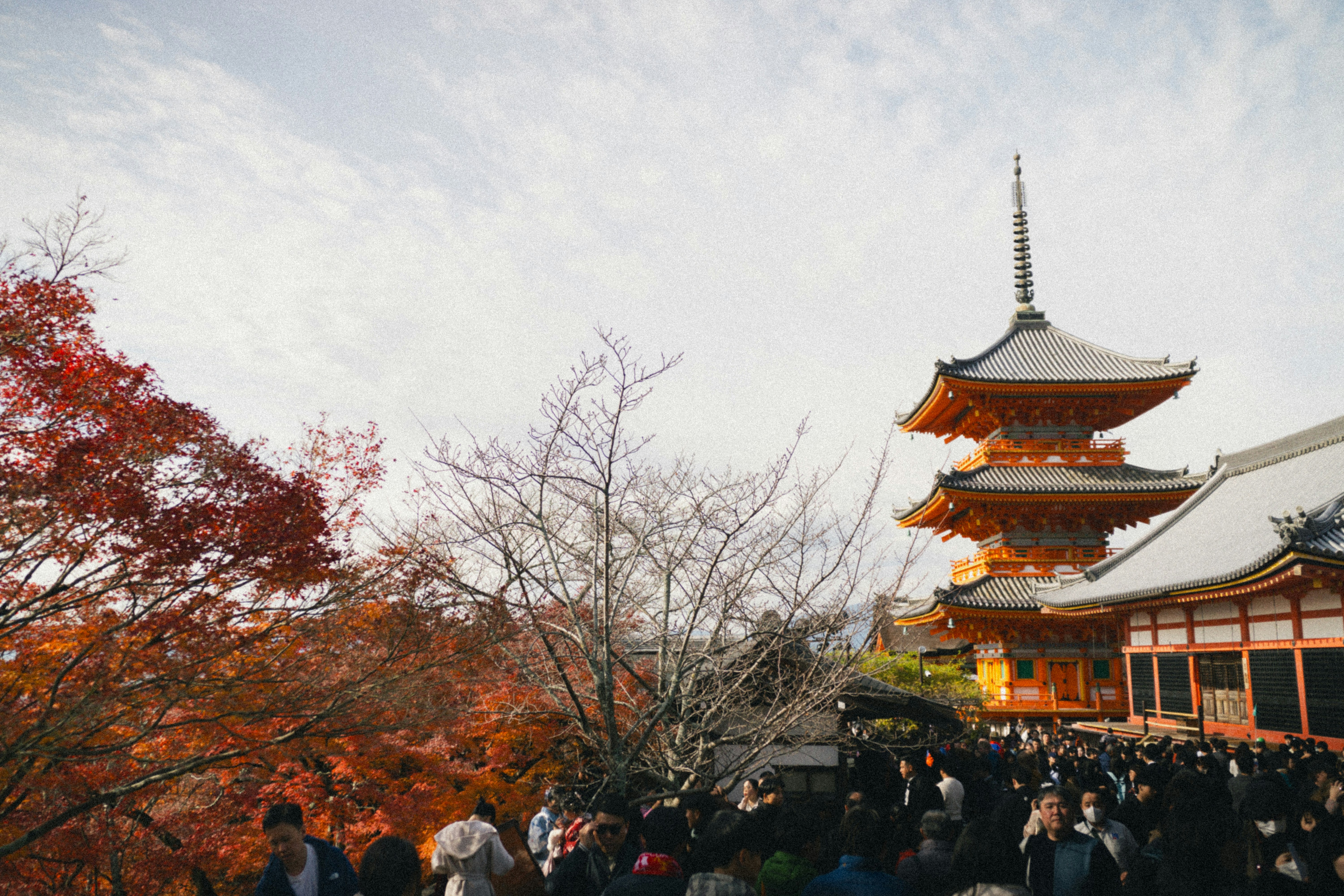 A group of people standing in front of a tall building