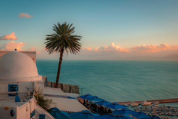 A view of a building with a palm tree in the foreground — Tunis & Carthage, Tunisia