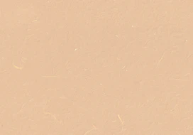 A plain beige background with subtle texture