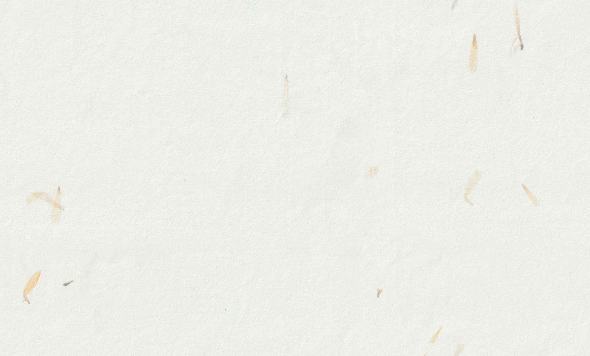 Cream textured background with small brown flecks