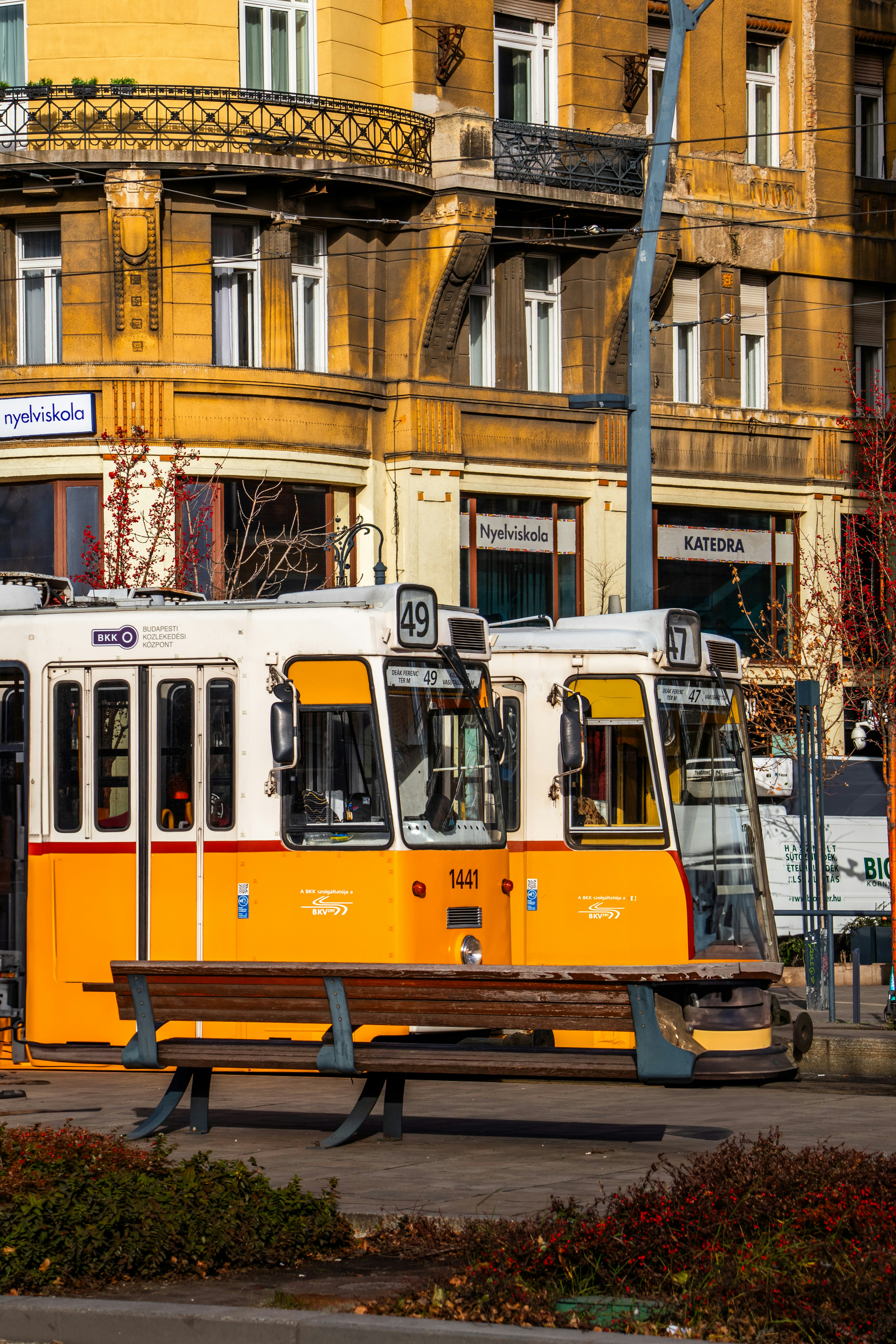 Photo by woomantsing