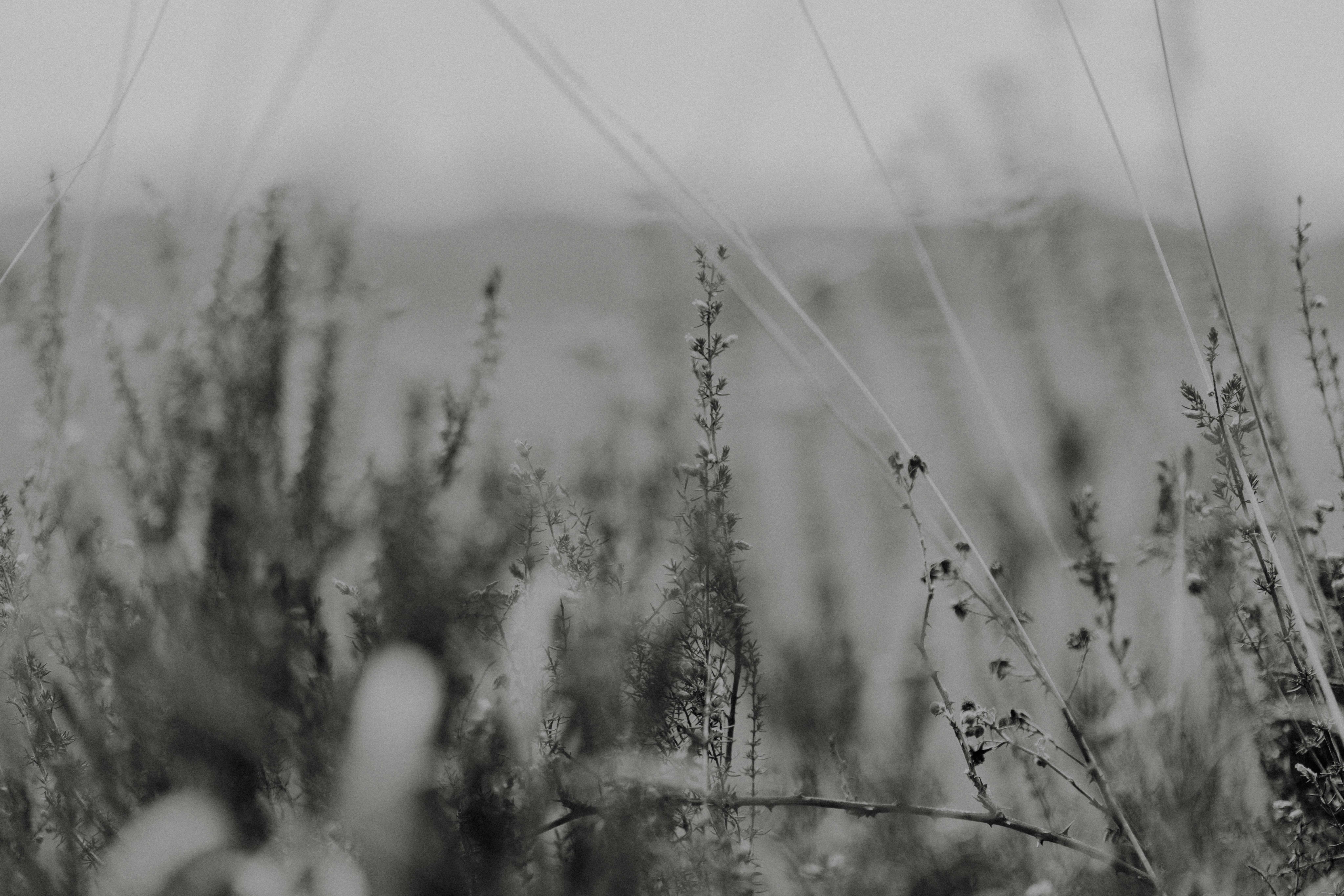 Photo by anniespratt