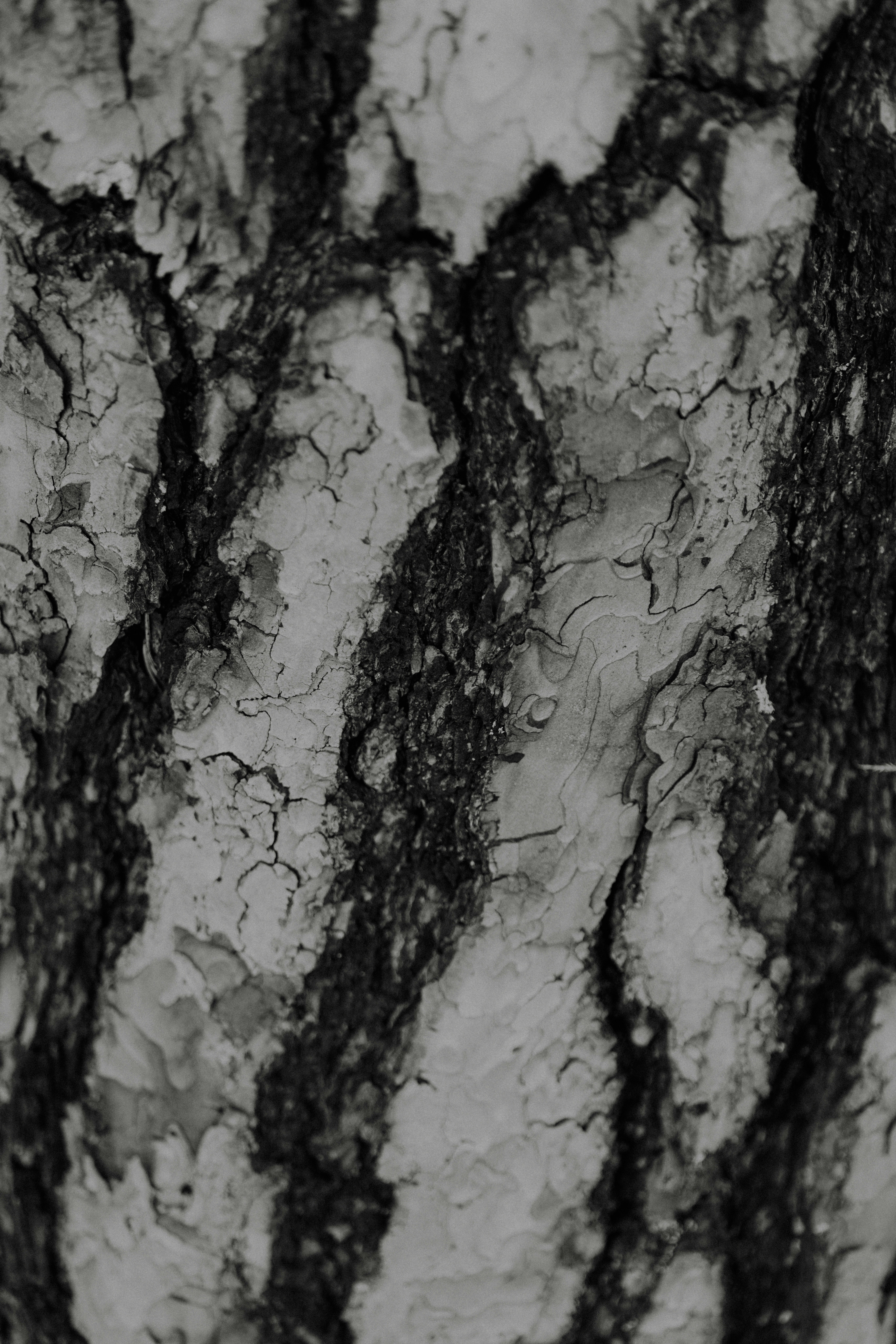 Photo by anniespratt