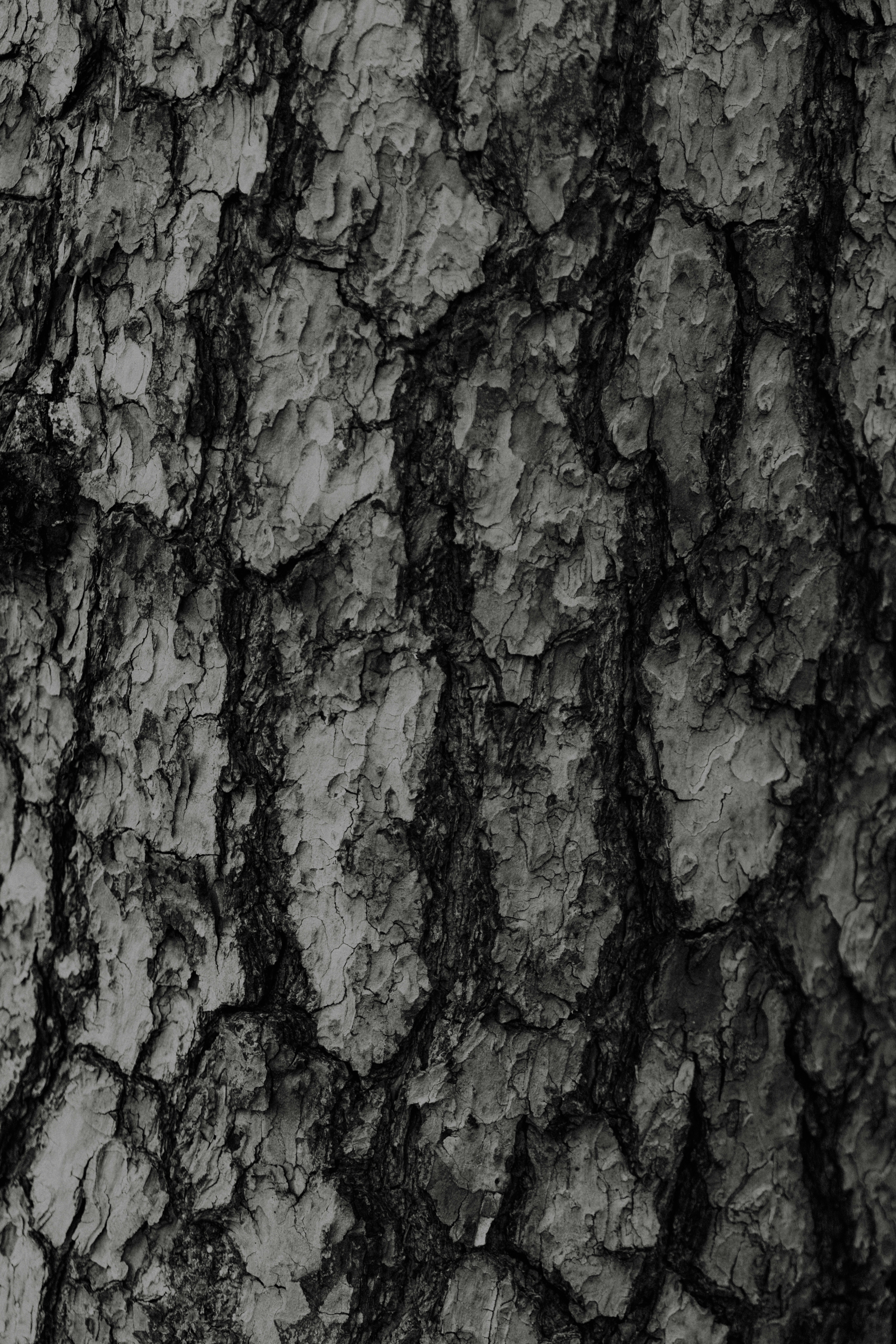 Photo by anniespratt