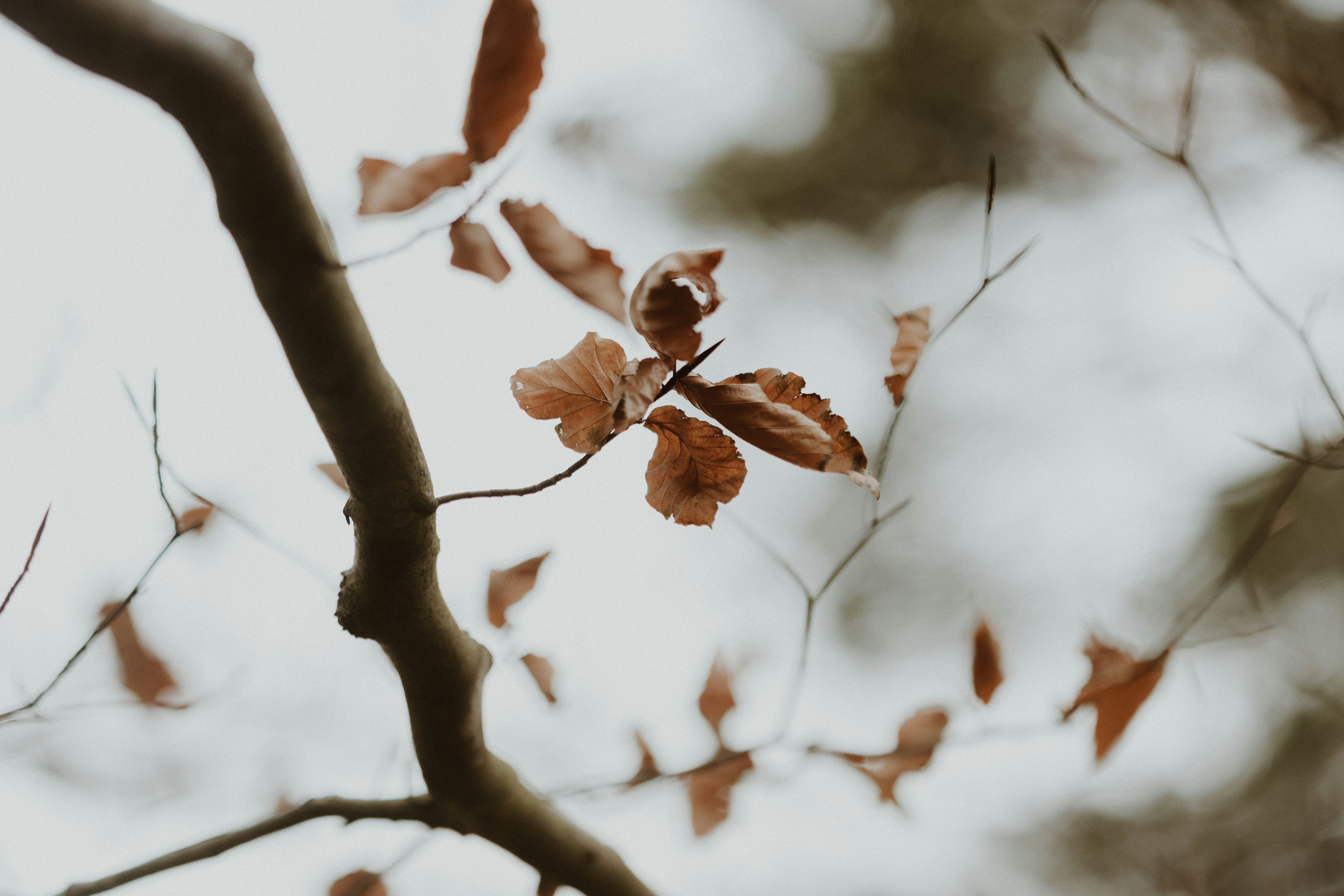 Photo by anniespratt