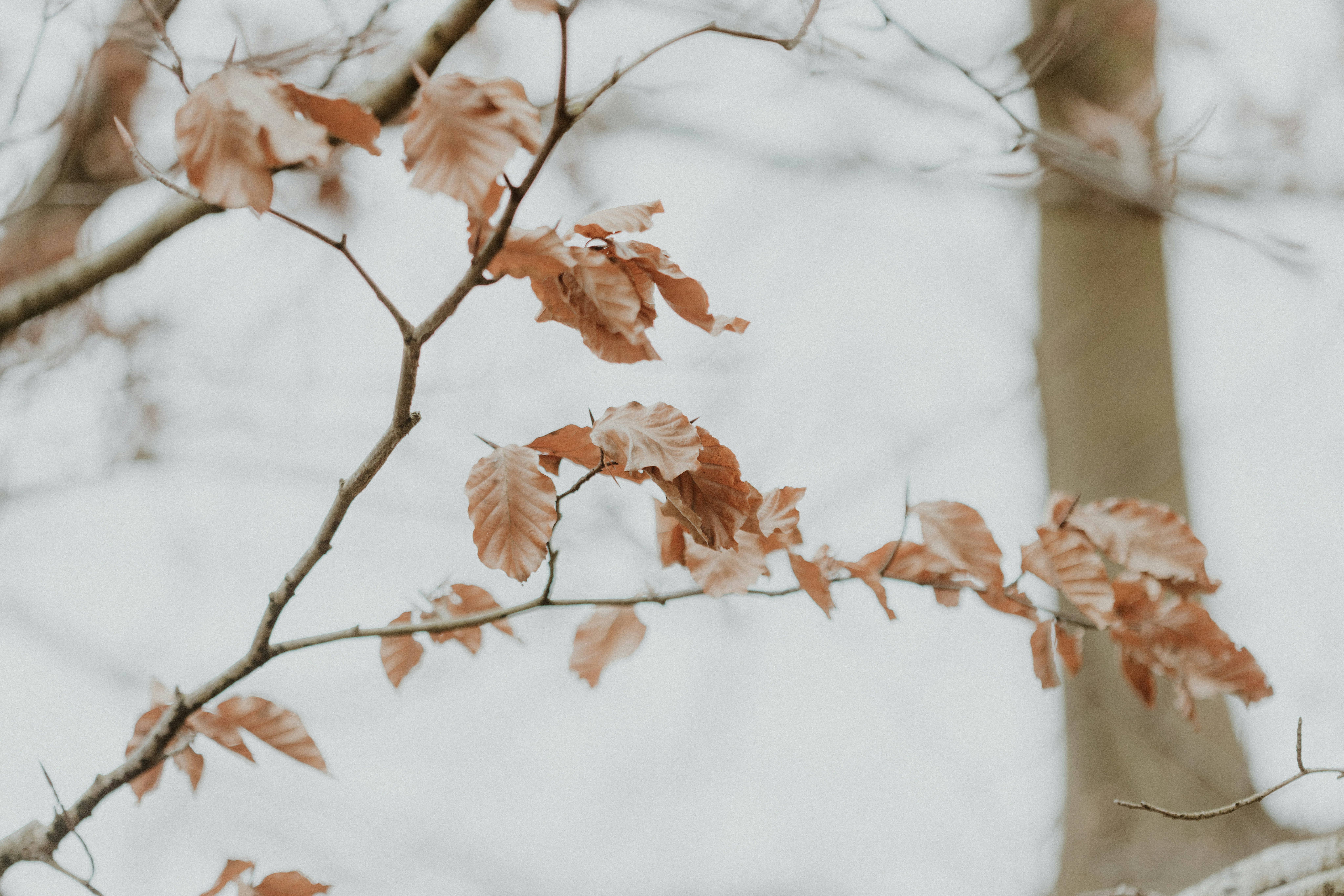 Photo by anniespratt