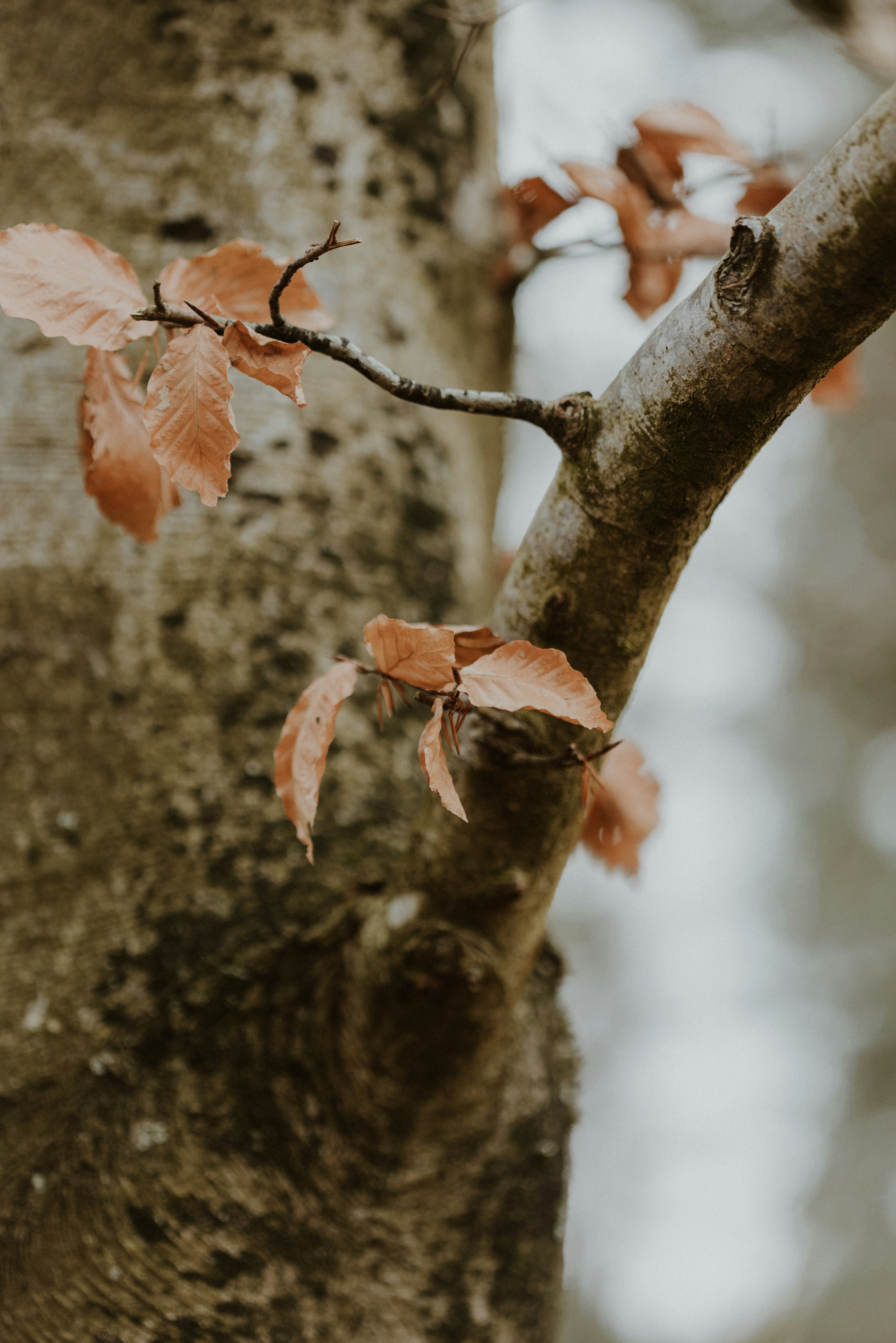 Photo by anniespratt