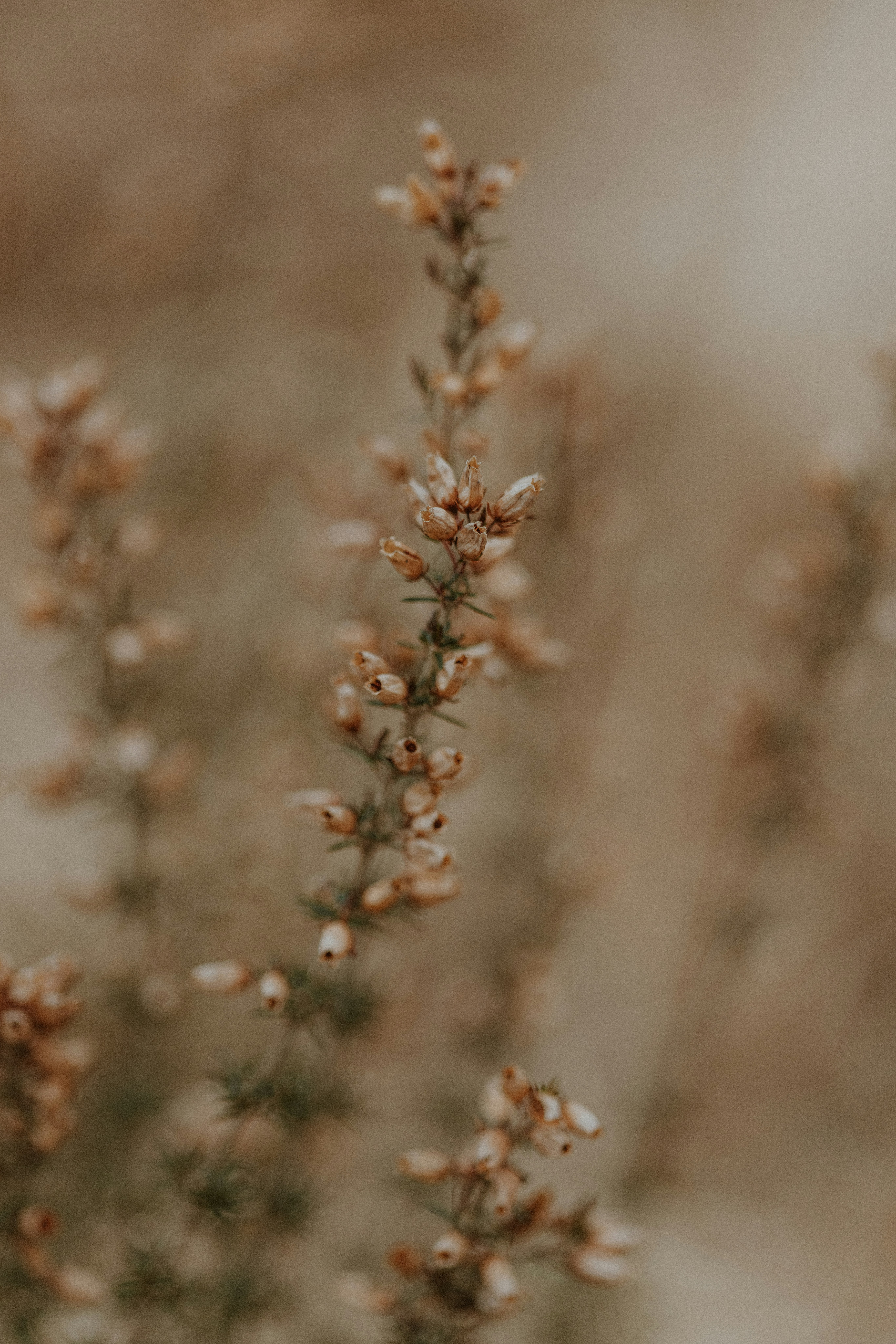 Photo by anniespratt