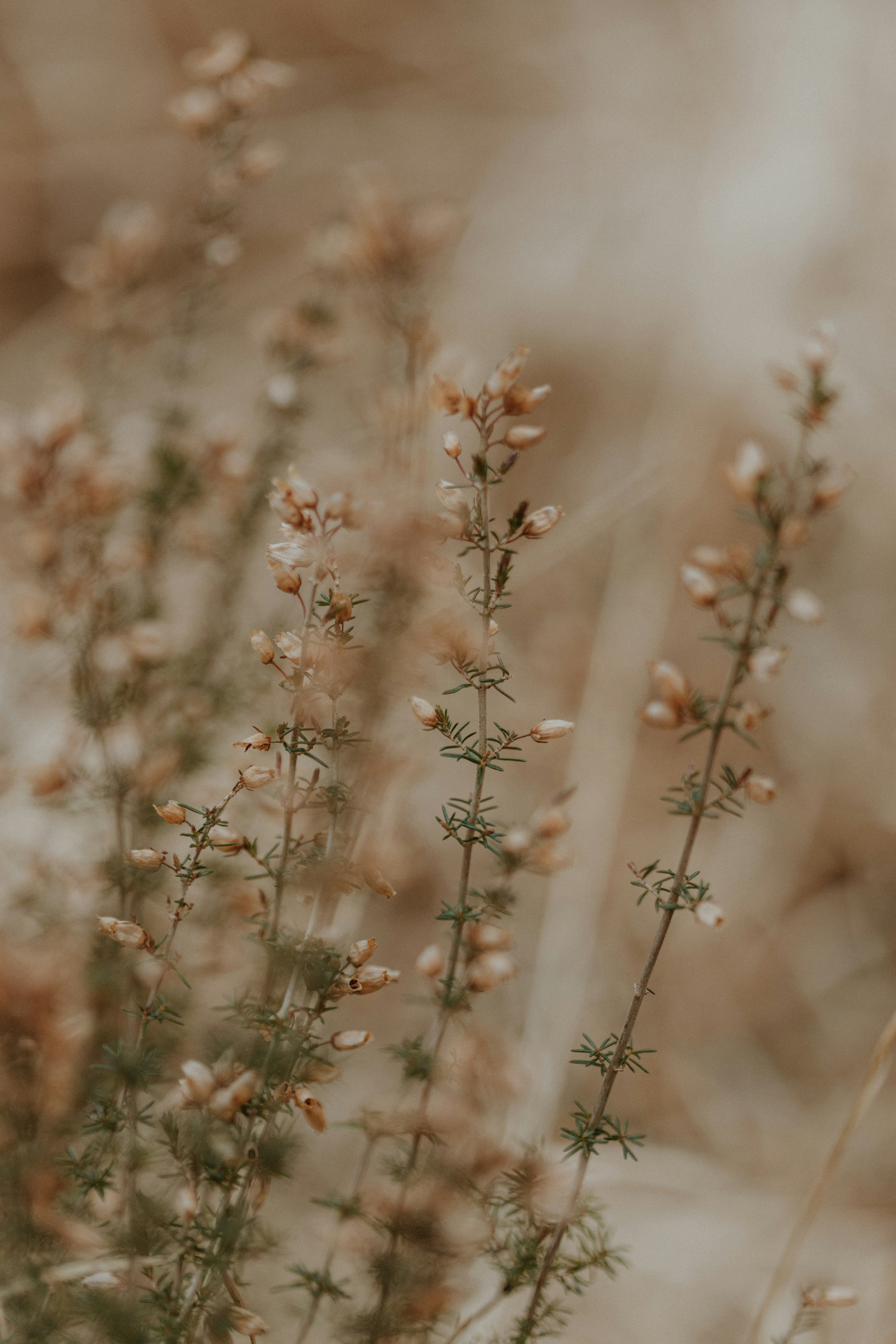 Photo by anniespratt