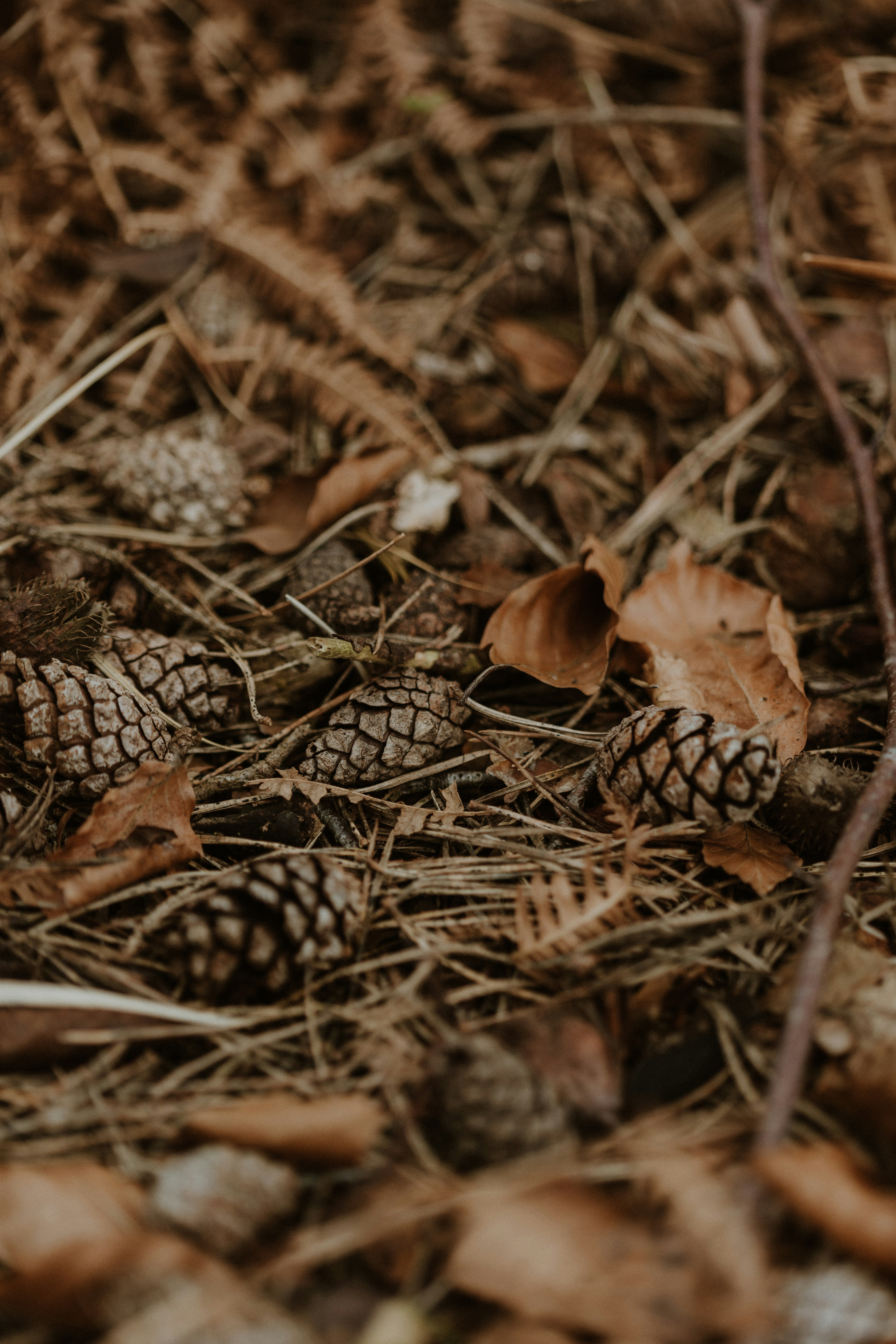 Photo by anniespratt