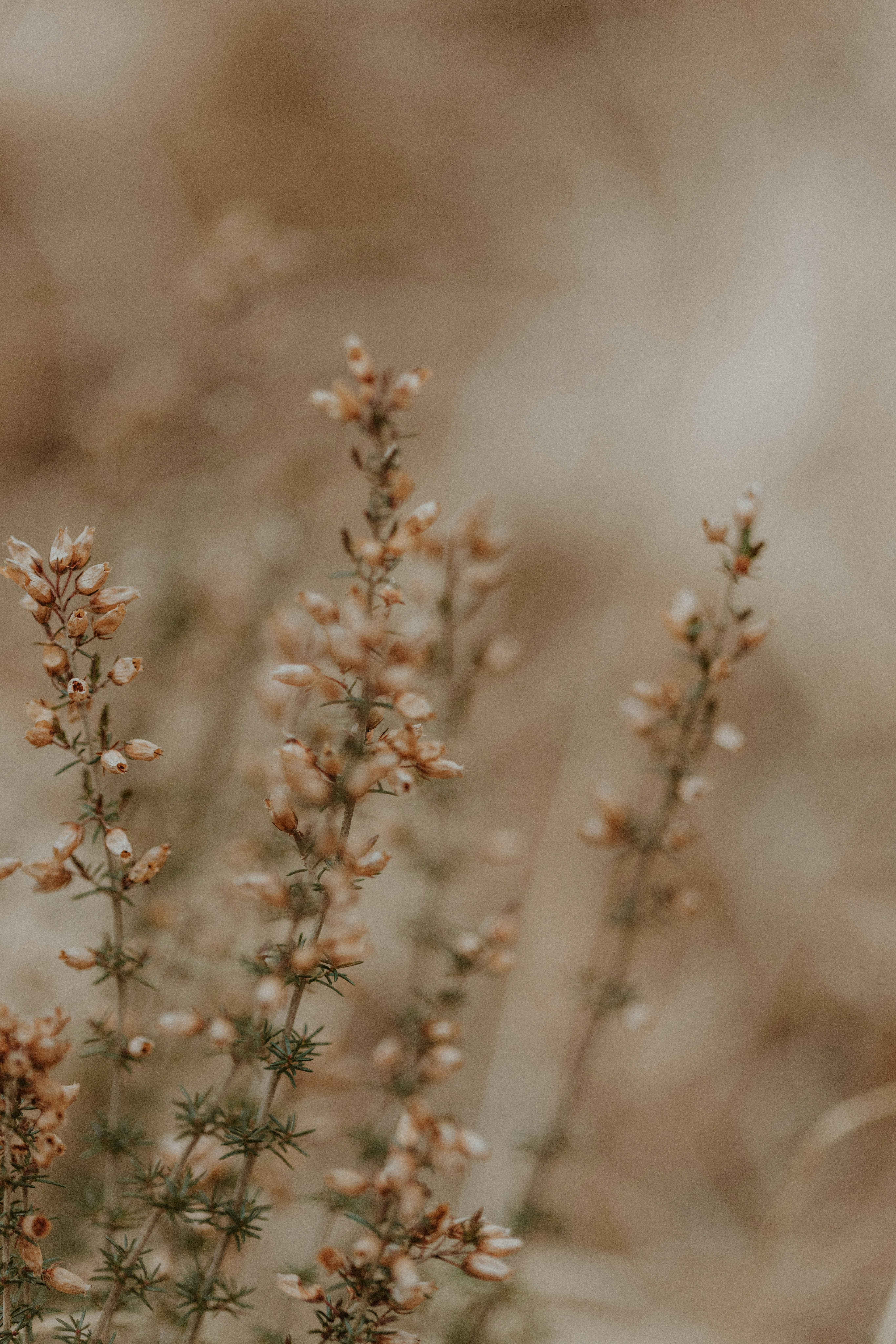 Photo by anniespratt