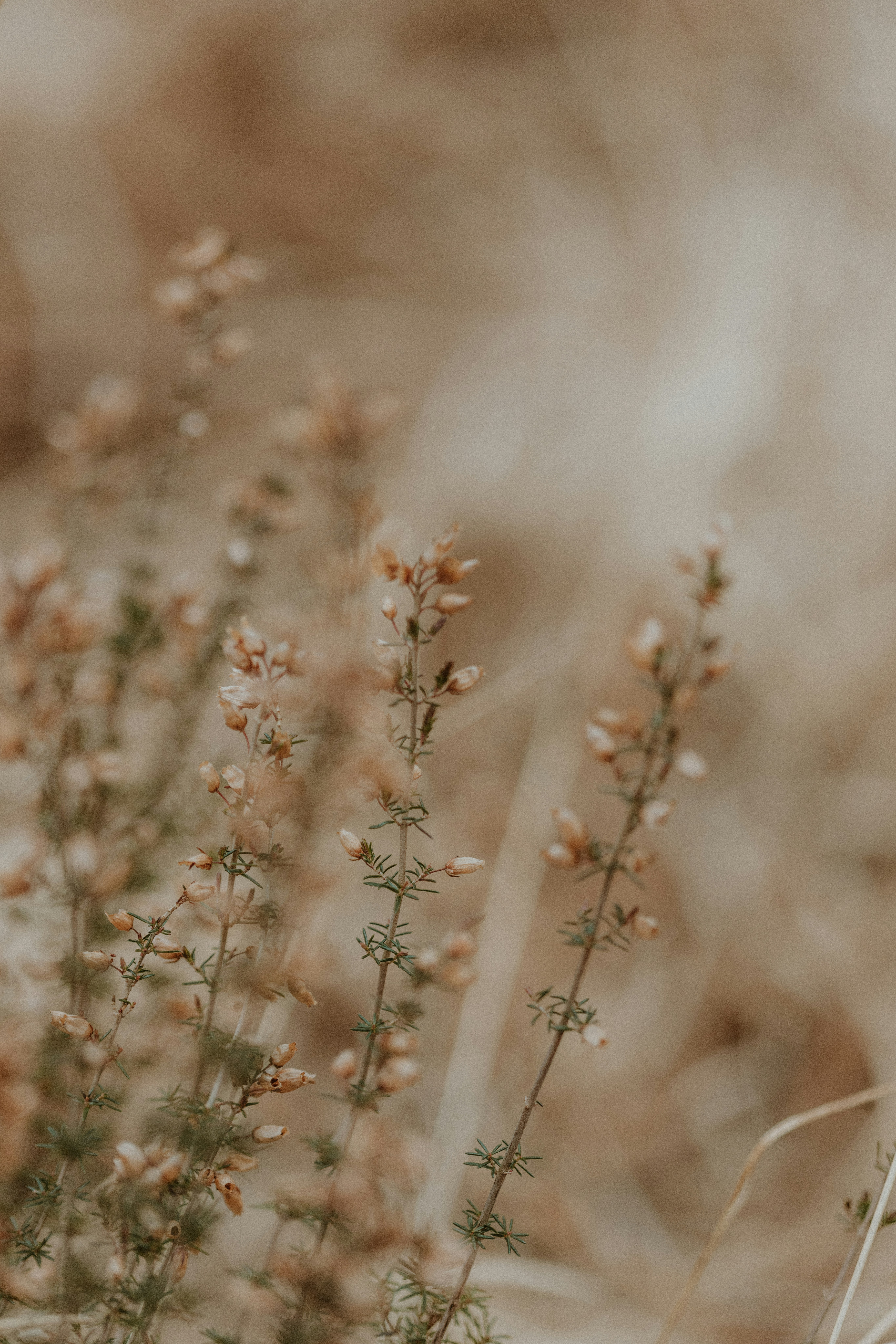 Photo by anniespratt