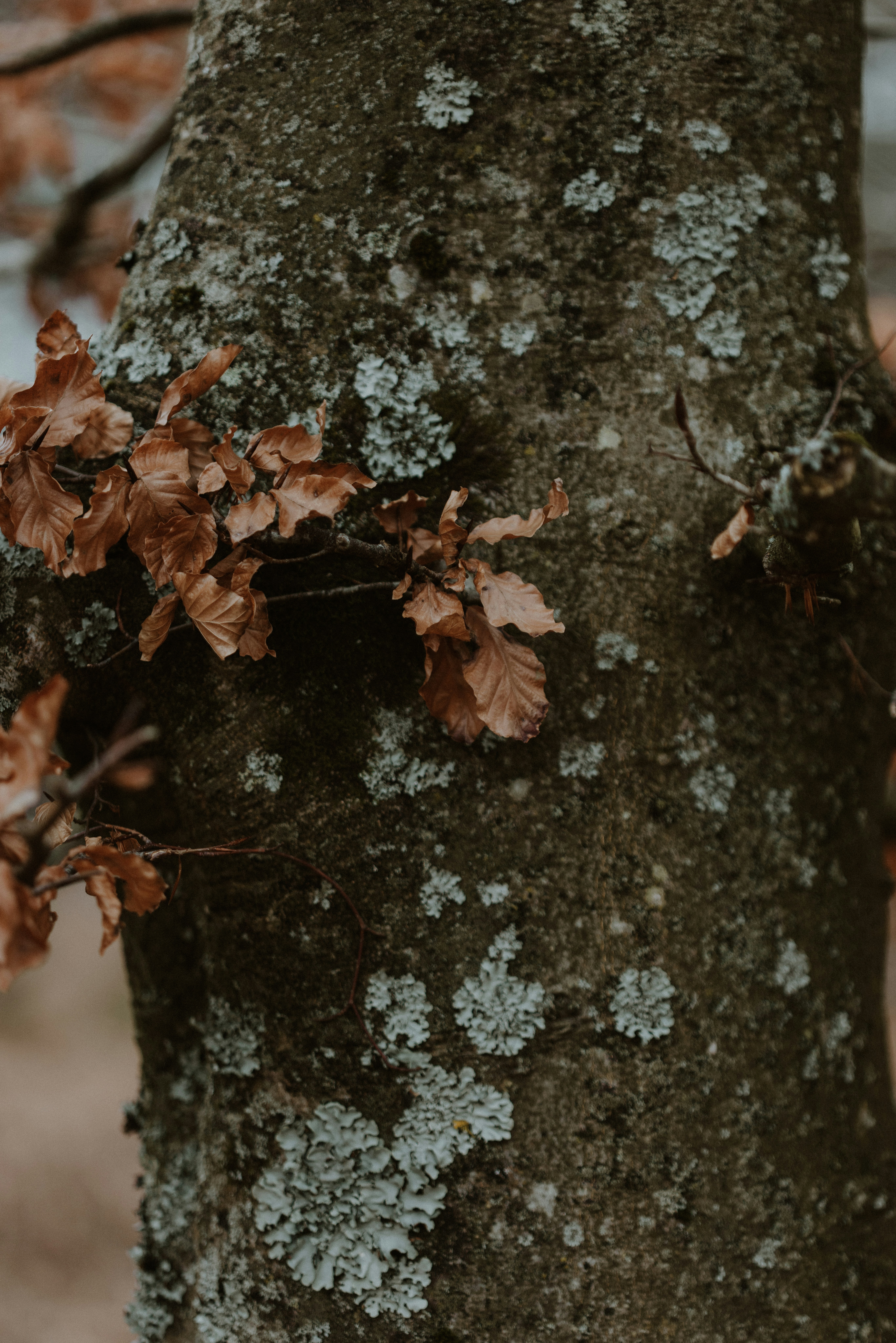 Photo by anniespratt