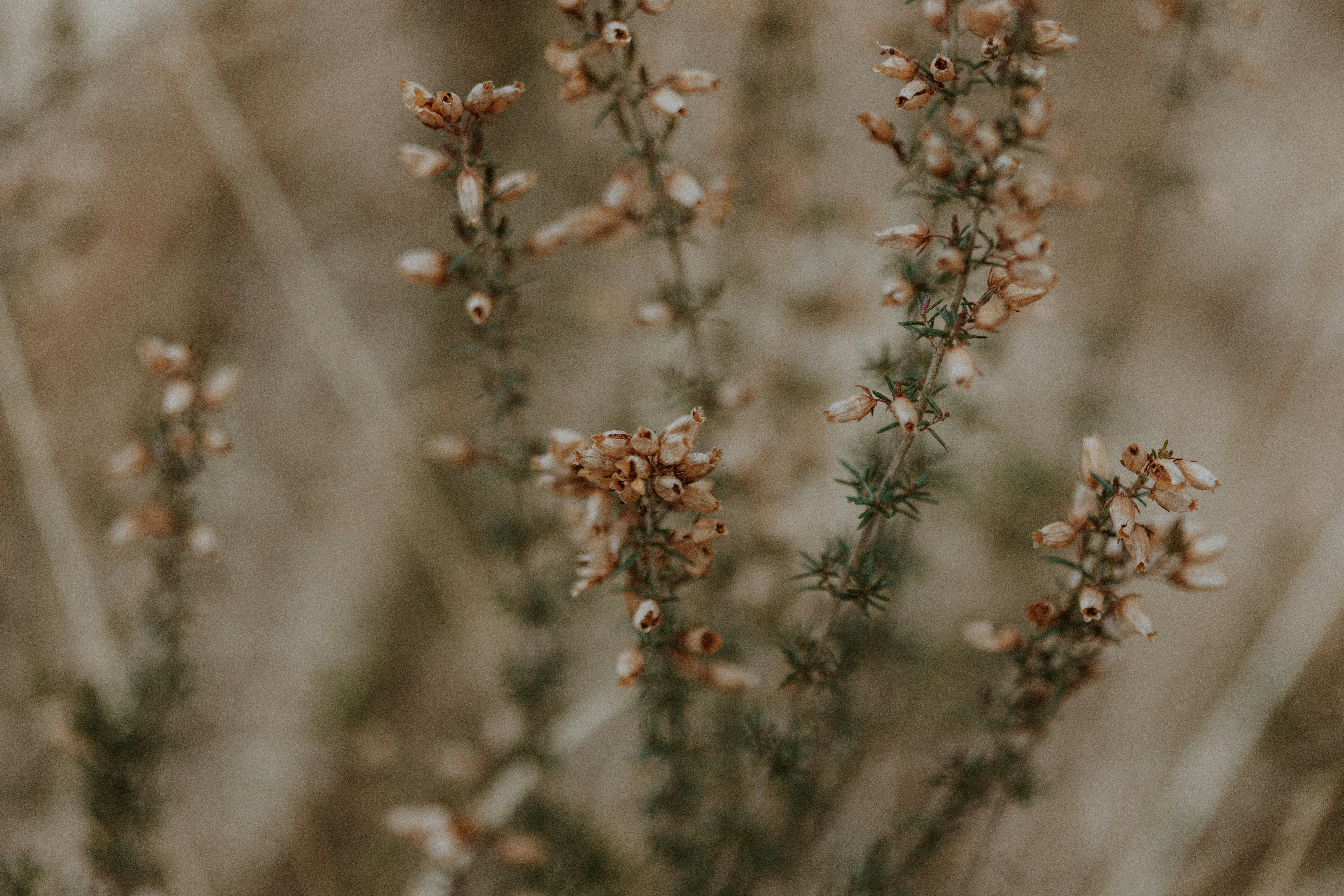 Photo by anniespratt