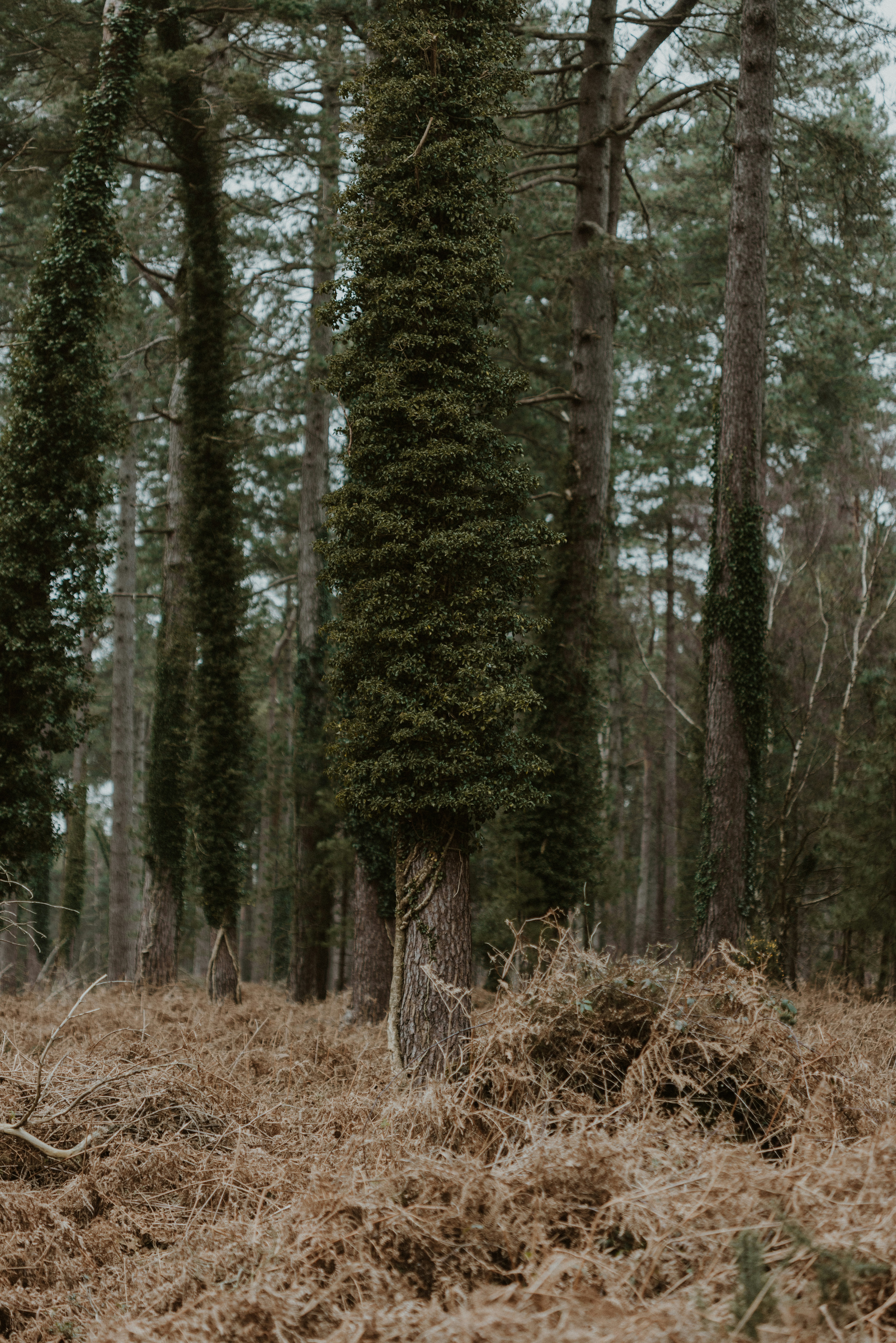 Photo by anniespratt