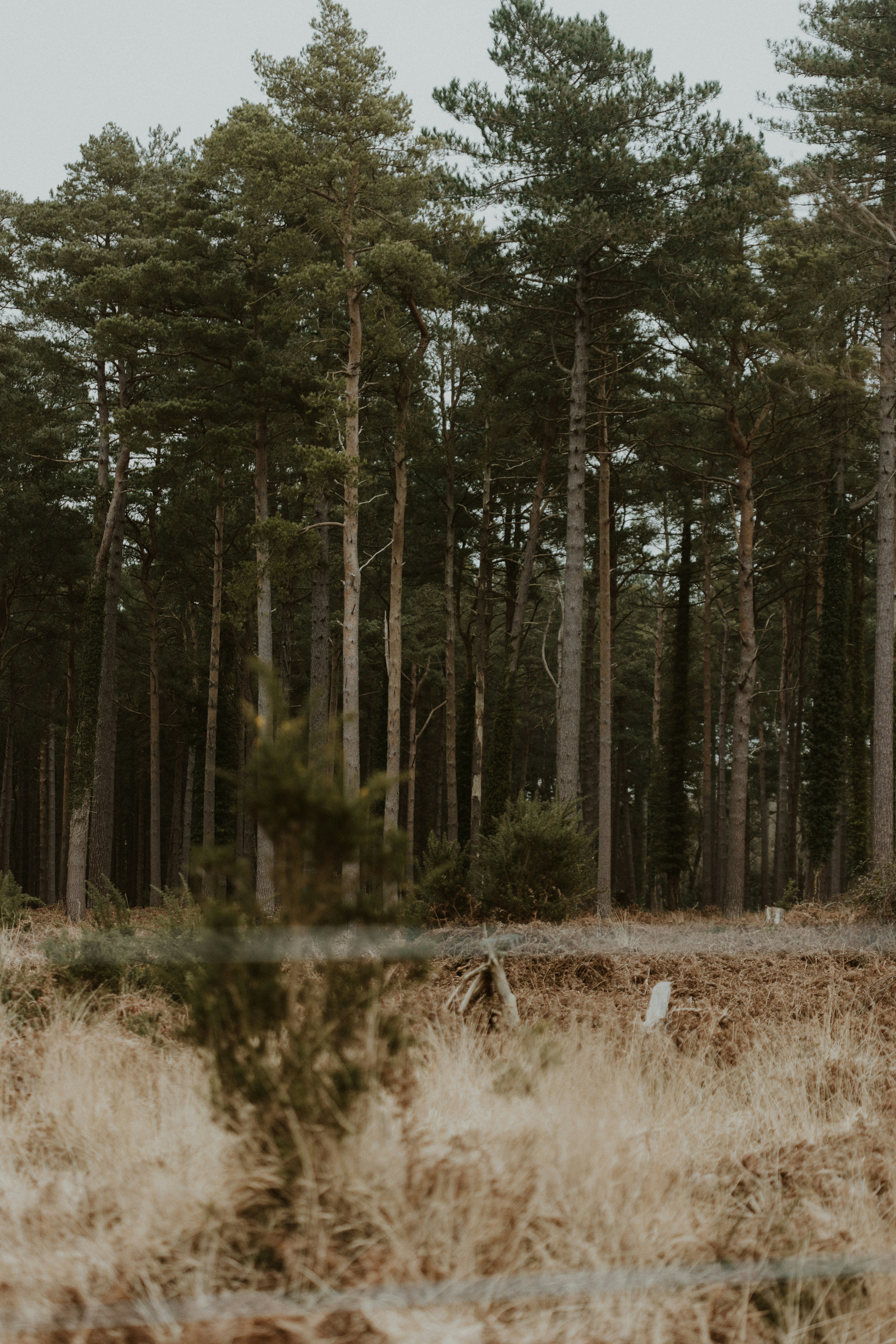 Photo by anniespratt