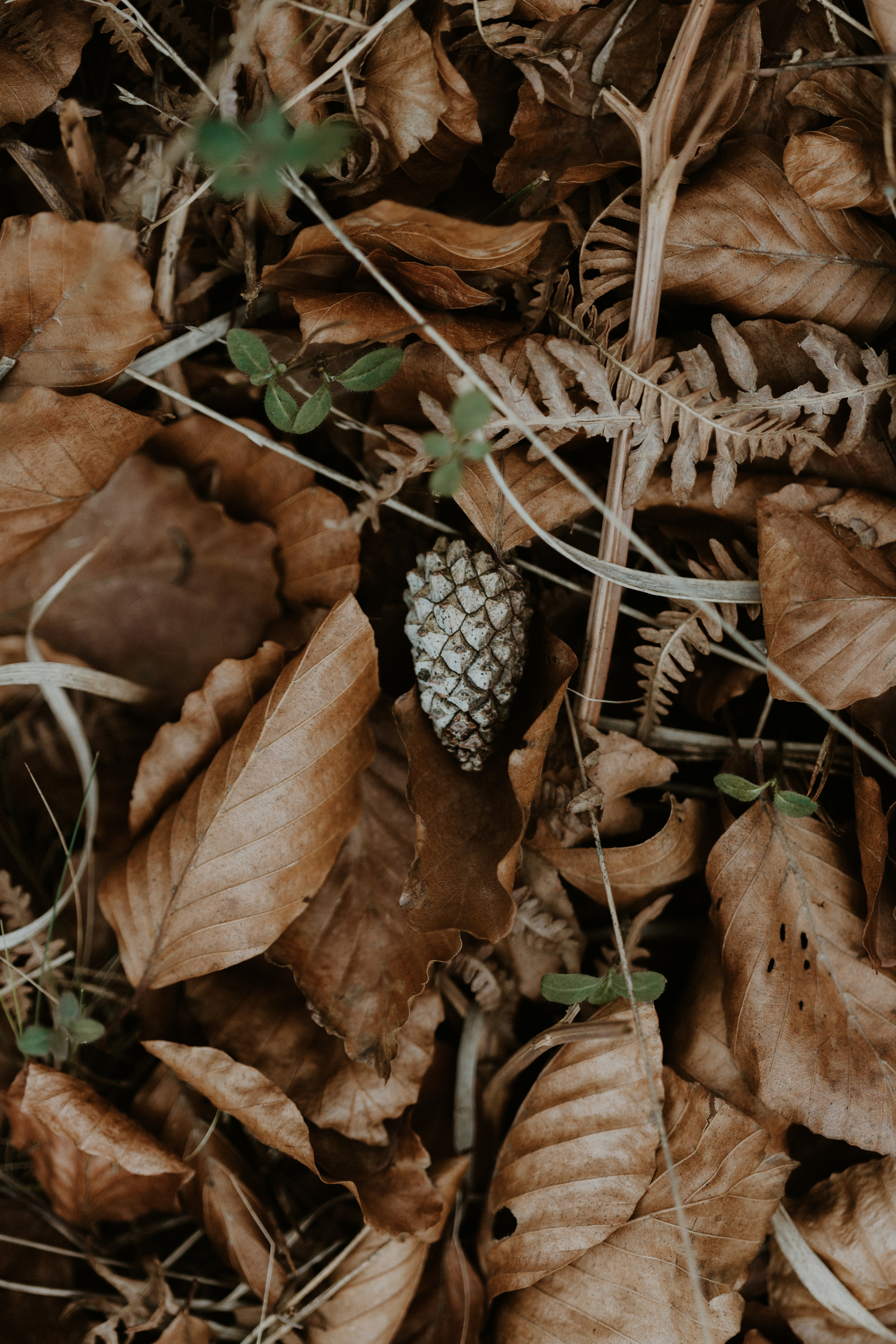Photo by anniespratt