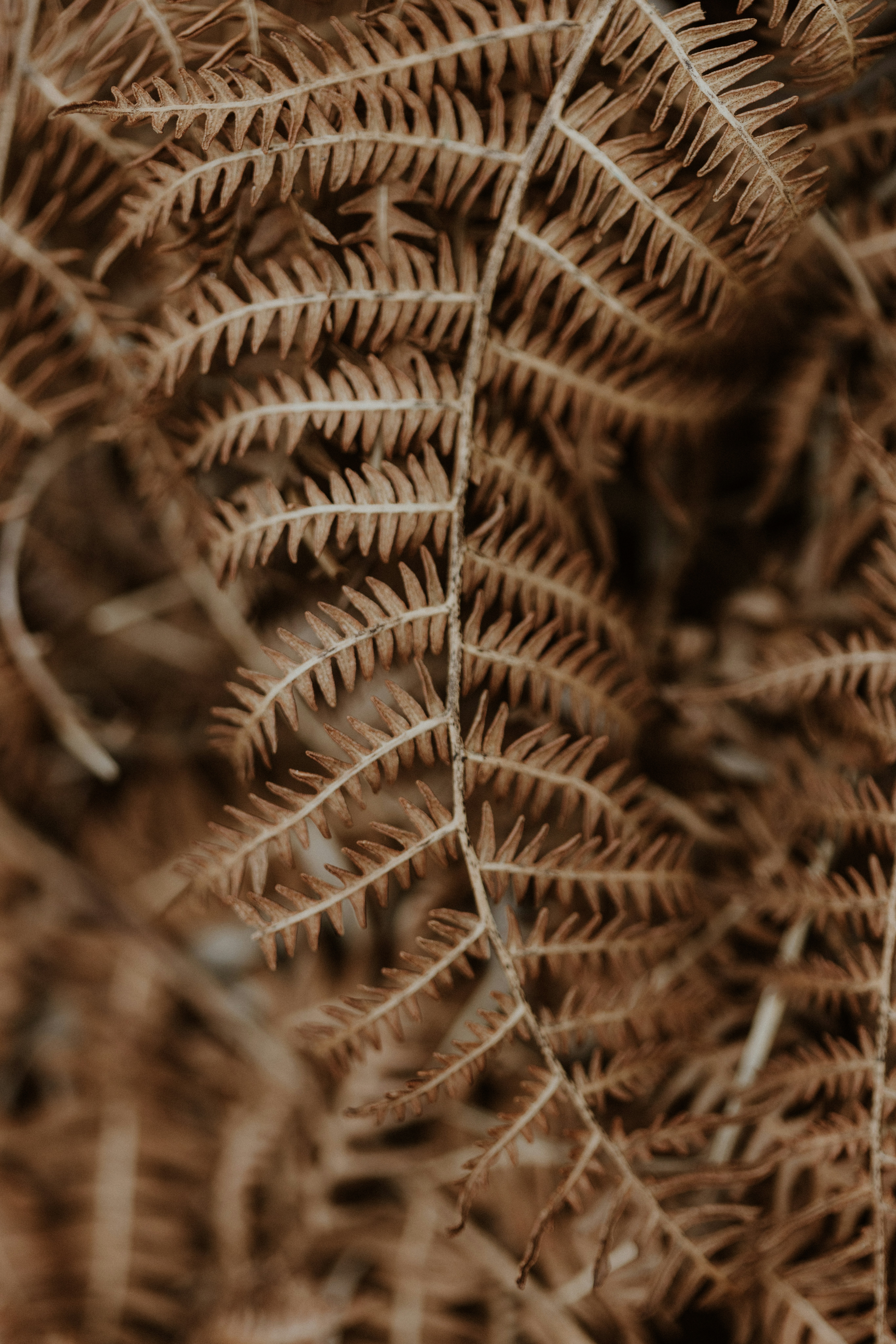 Photo by anniespratt