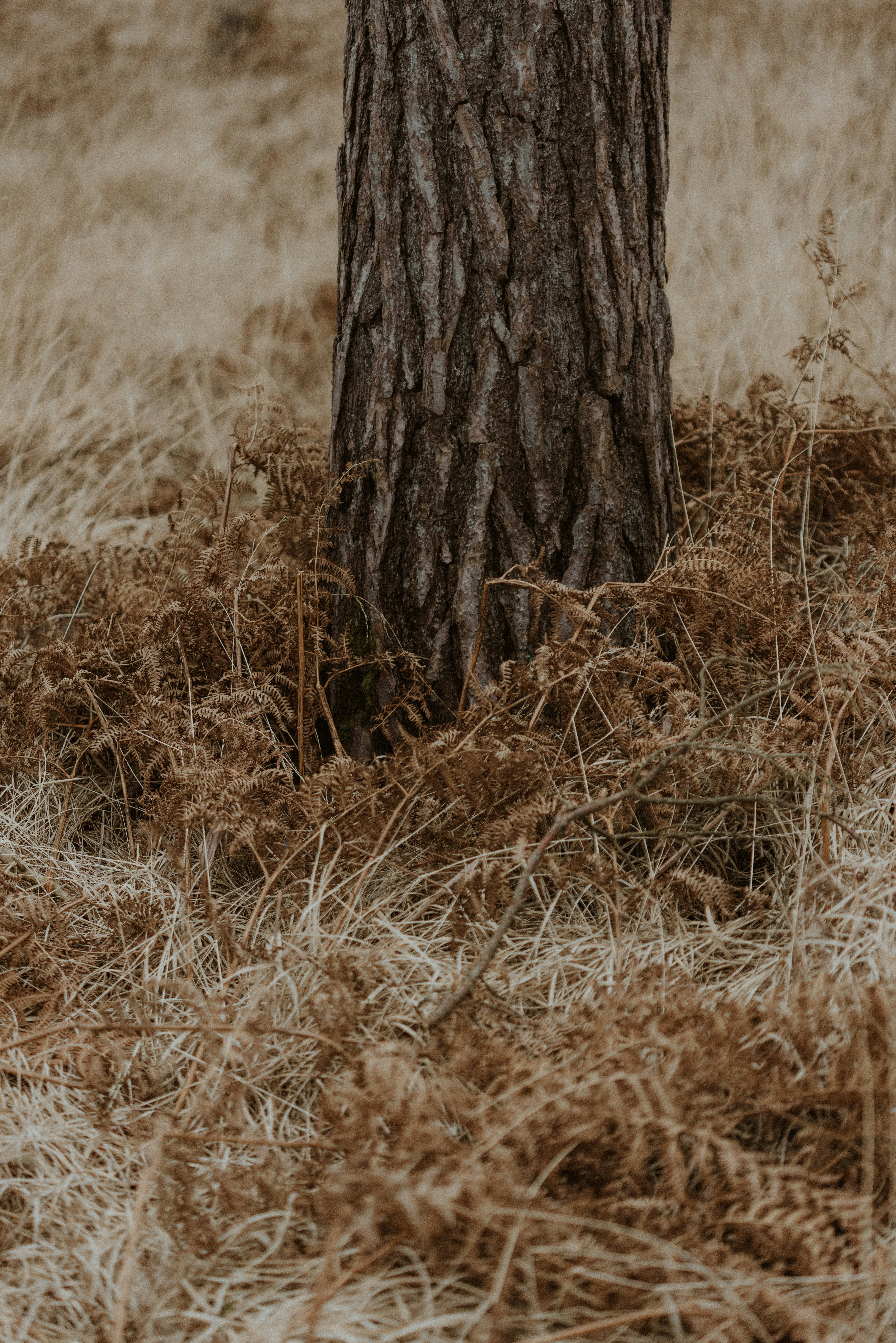 Photo by anniespratt