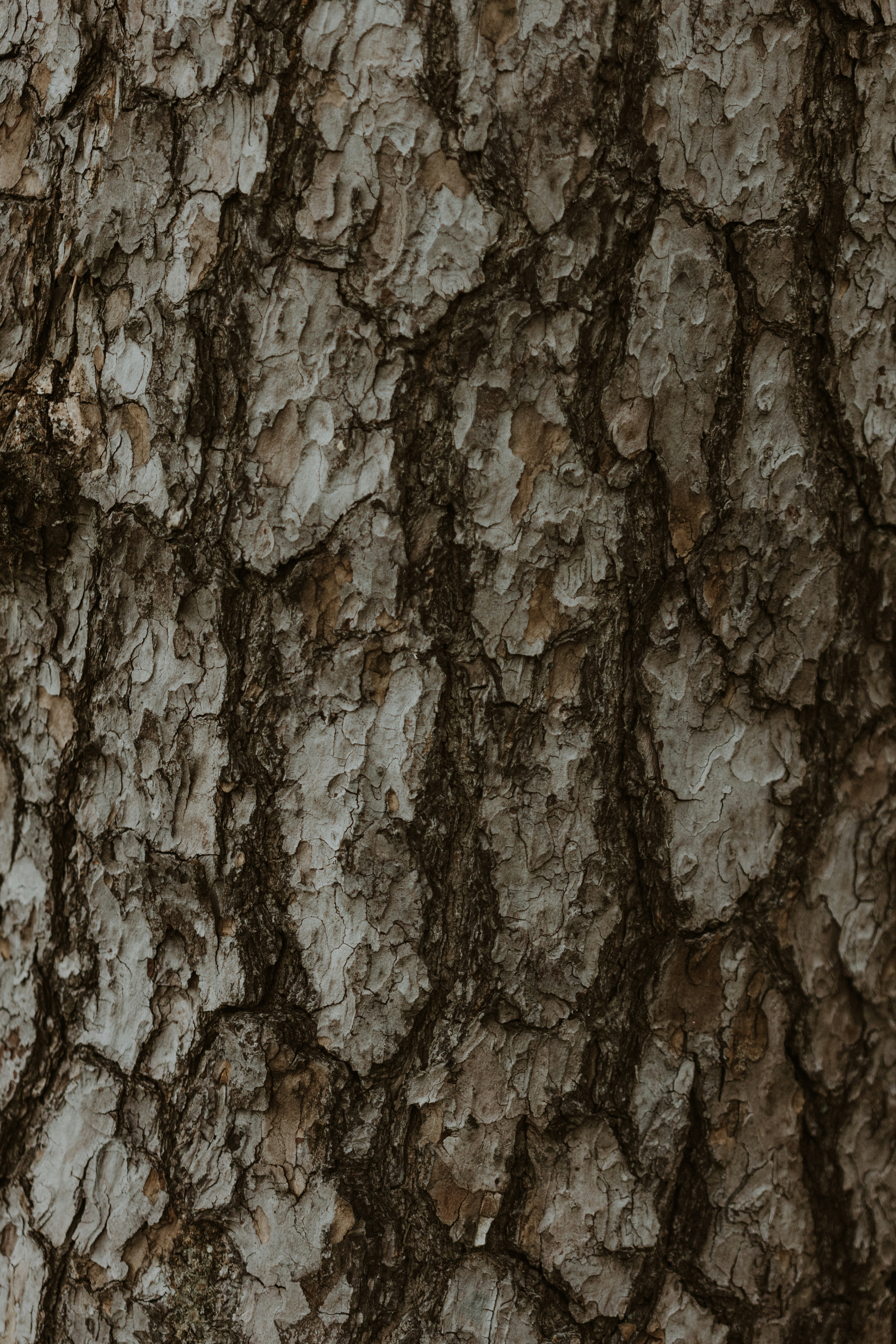 Photo by anniespratt