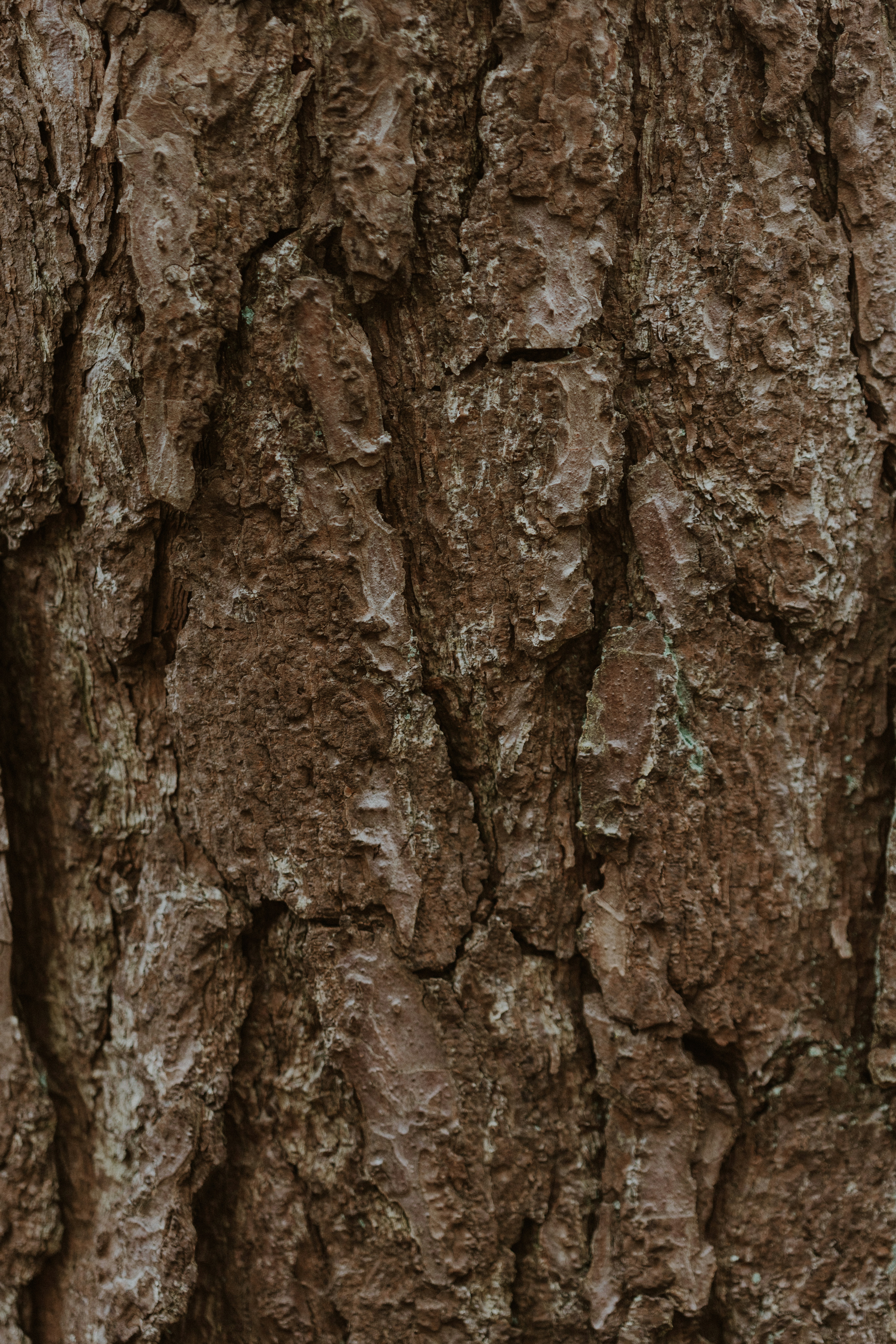 Photo by anniespratt