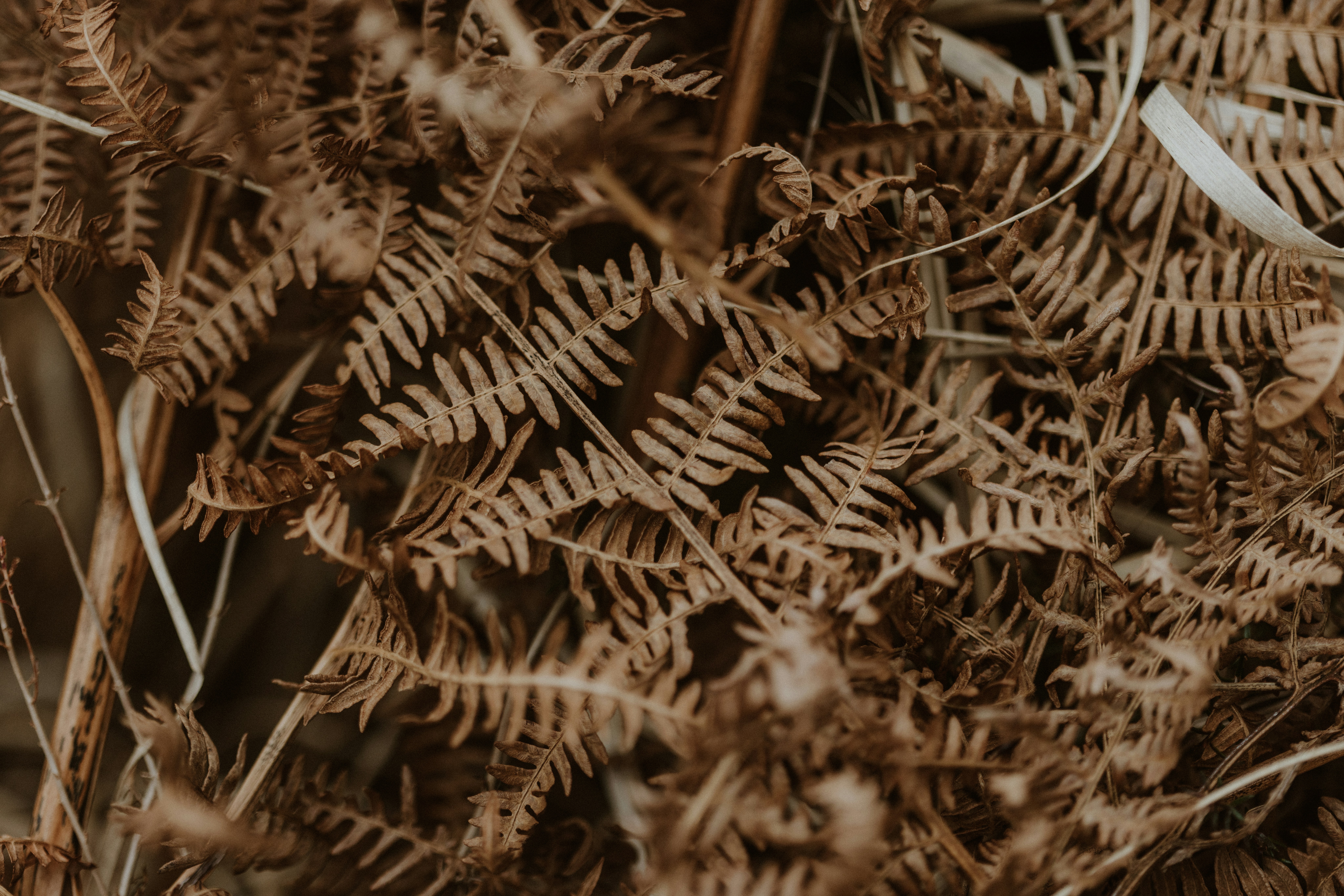 Photo by anniespratt