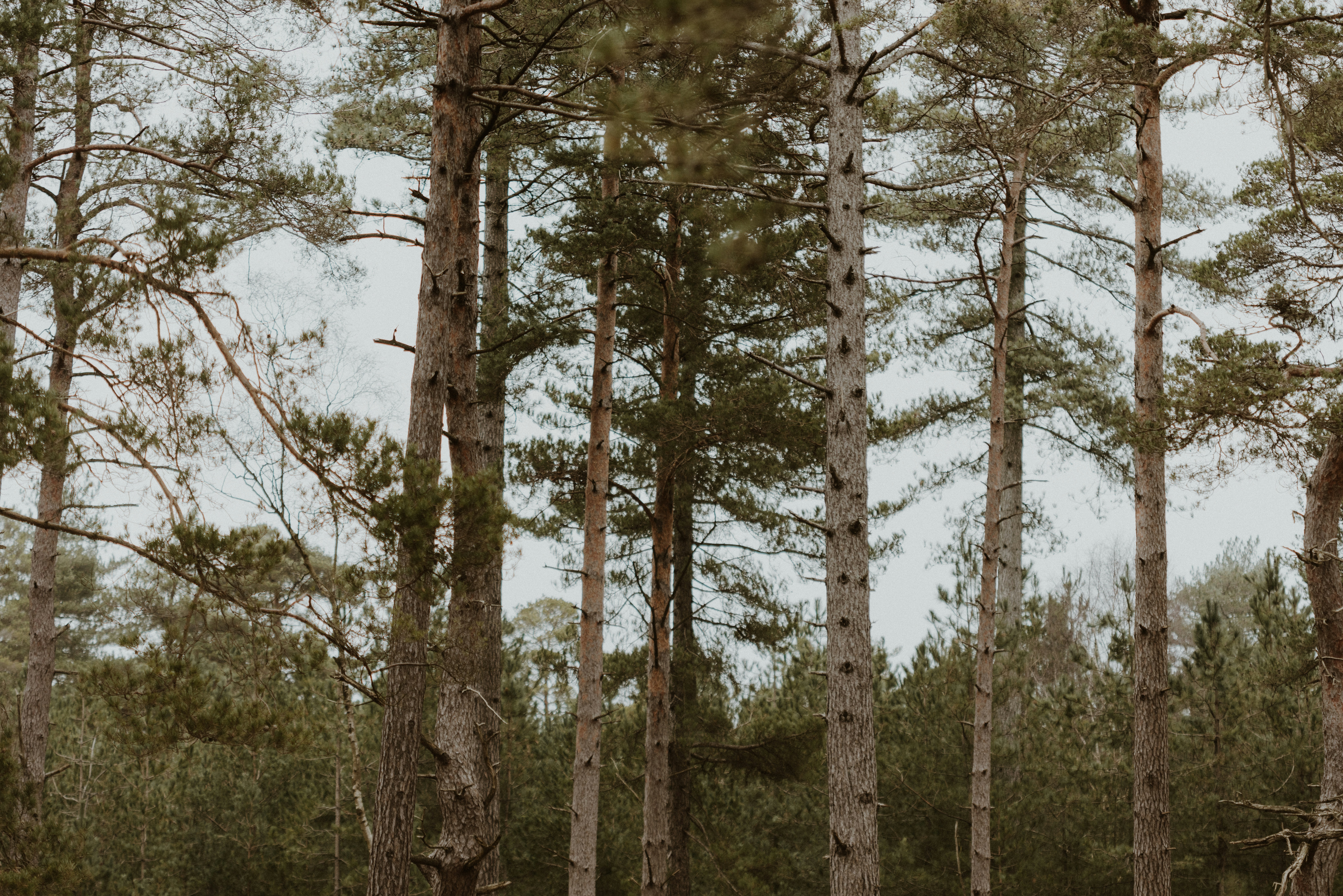 Photo by anniespratt