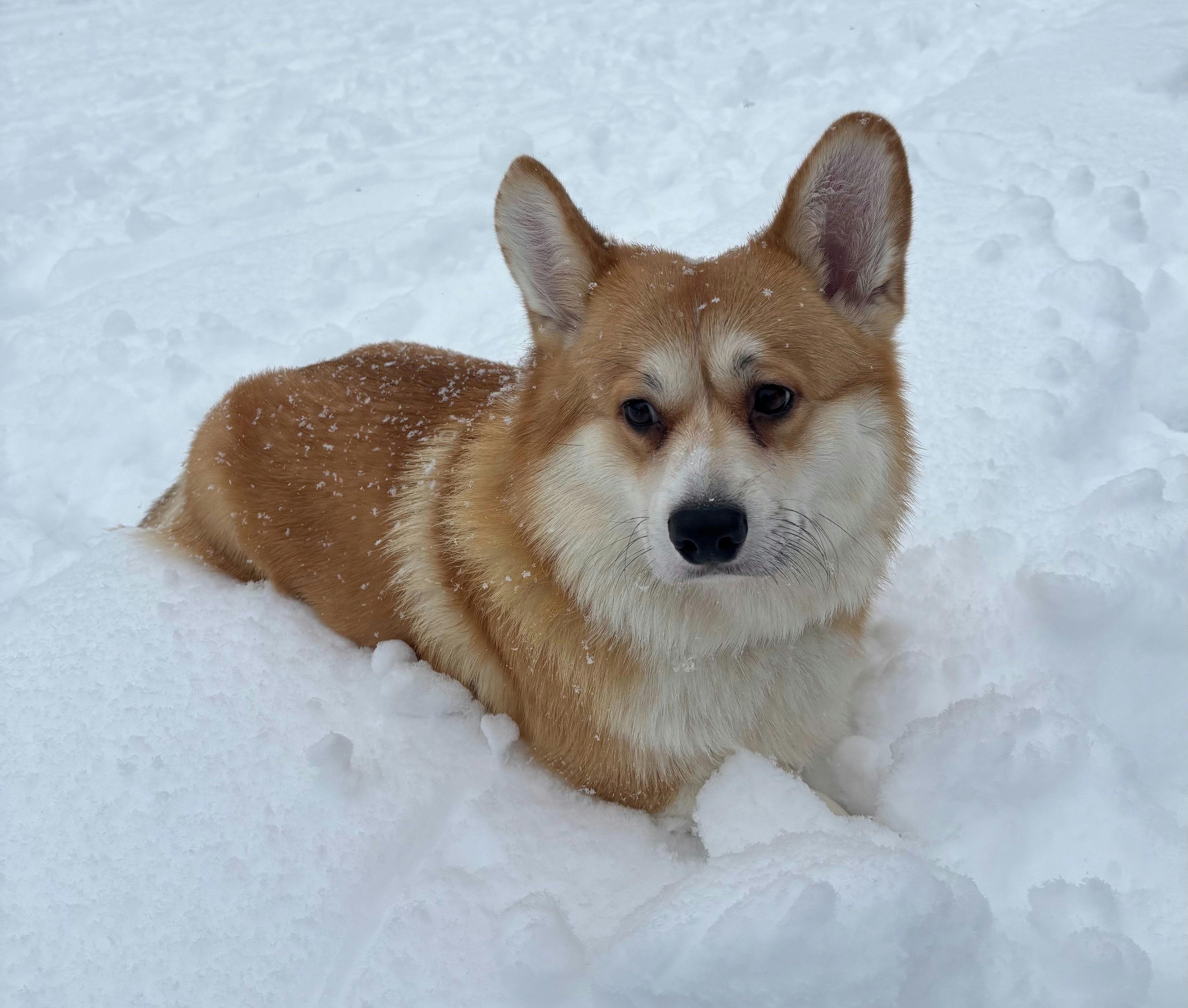 Photo by msmelaniesykes