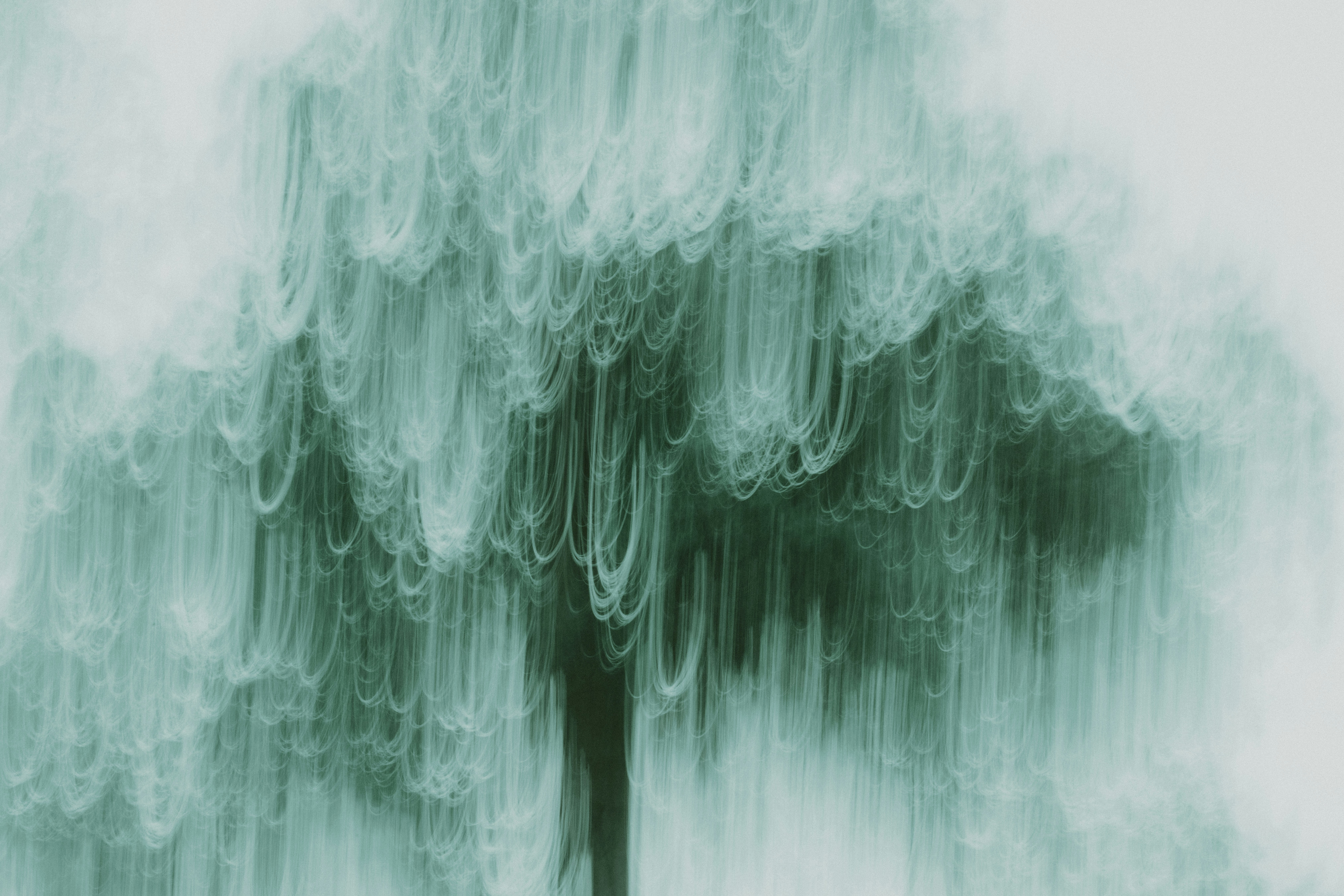 A blurry picture of a tree with a bench in front of it