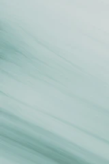 A blurry photo of a bird flying in the sky