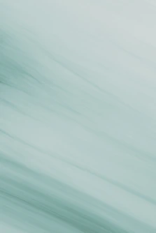 A blurry photo of a bird flying in the sky