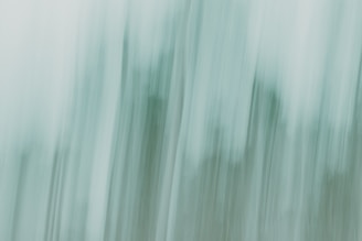 A blurry photo of trees in the woods