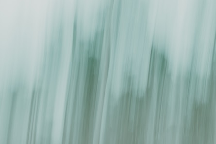 A blurry photo of trees in the woods