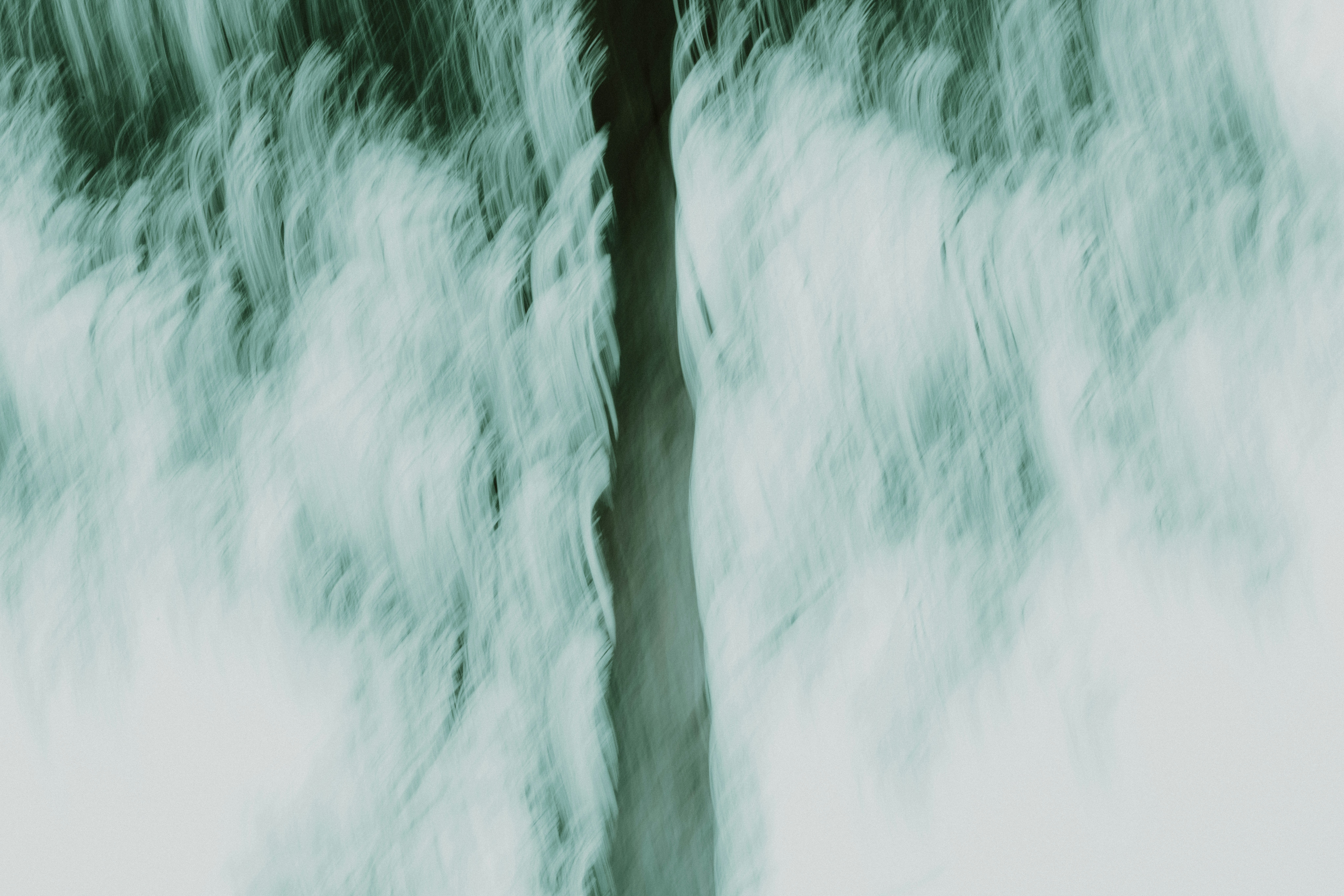 A blurry photo of a tree in the woods