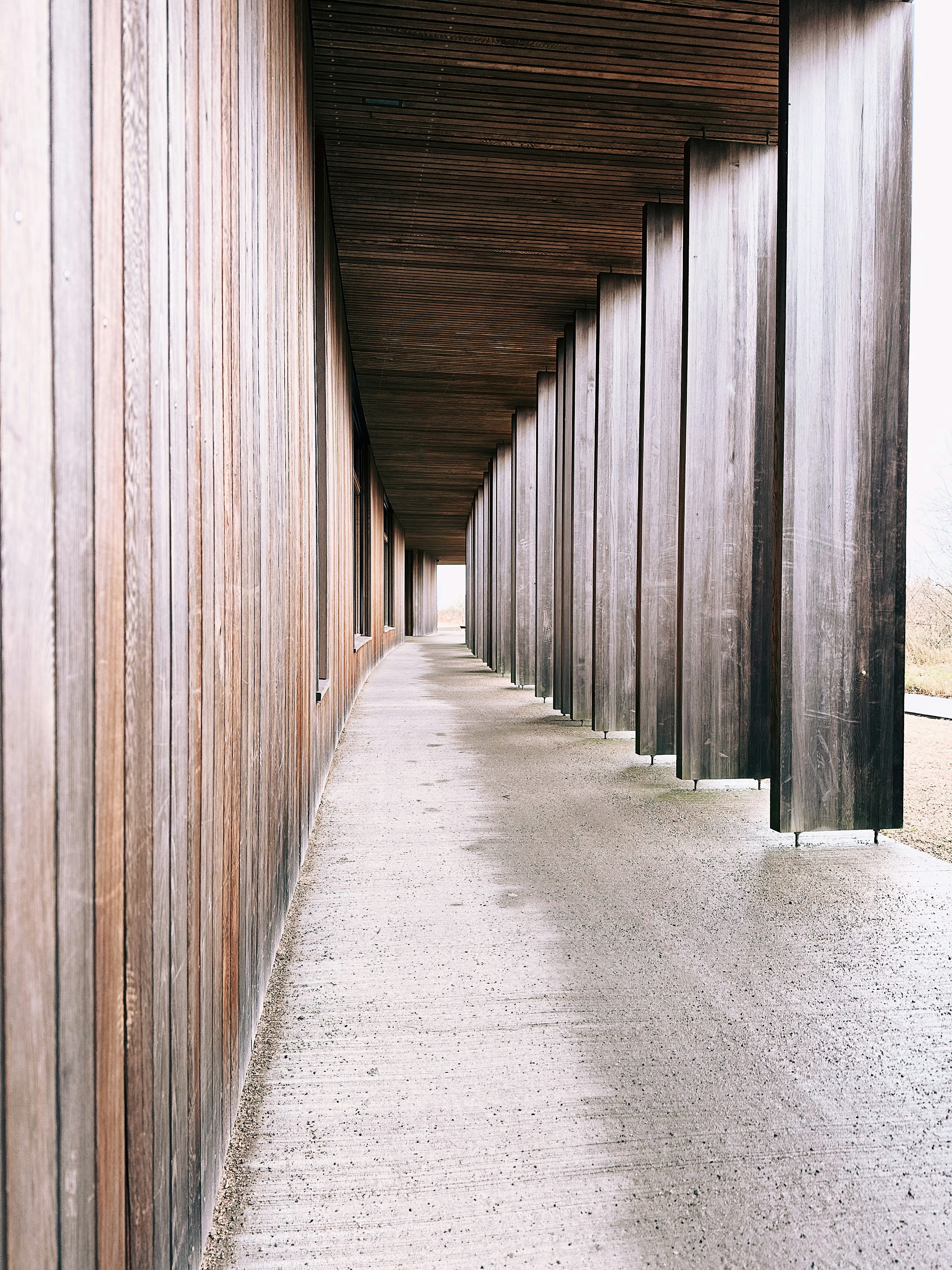 Ein veröffentlichtes Foto