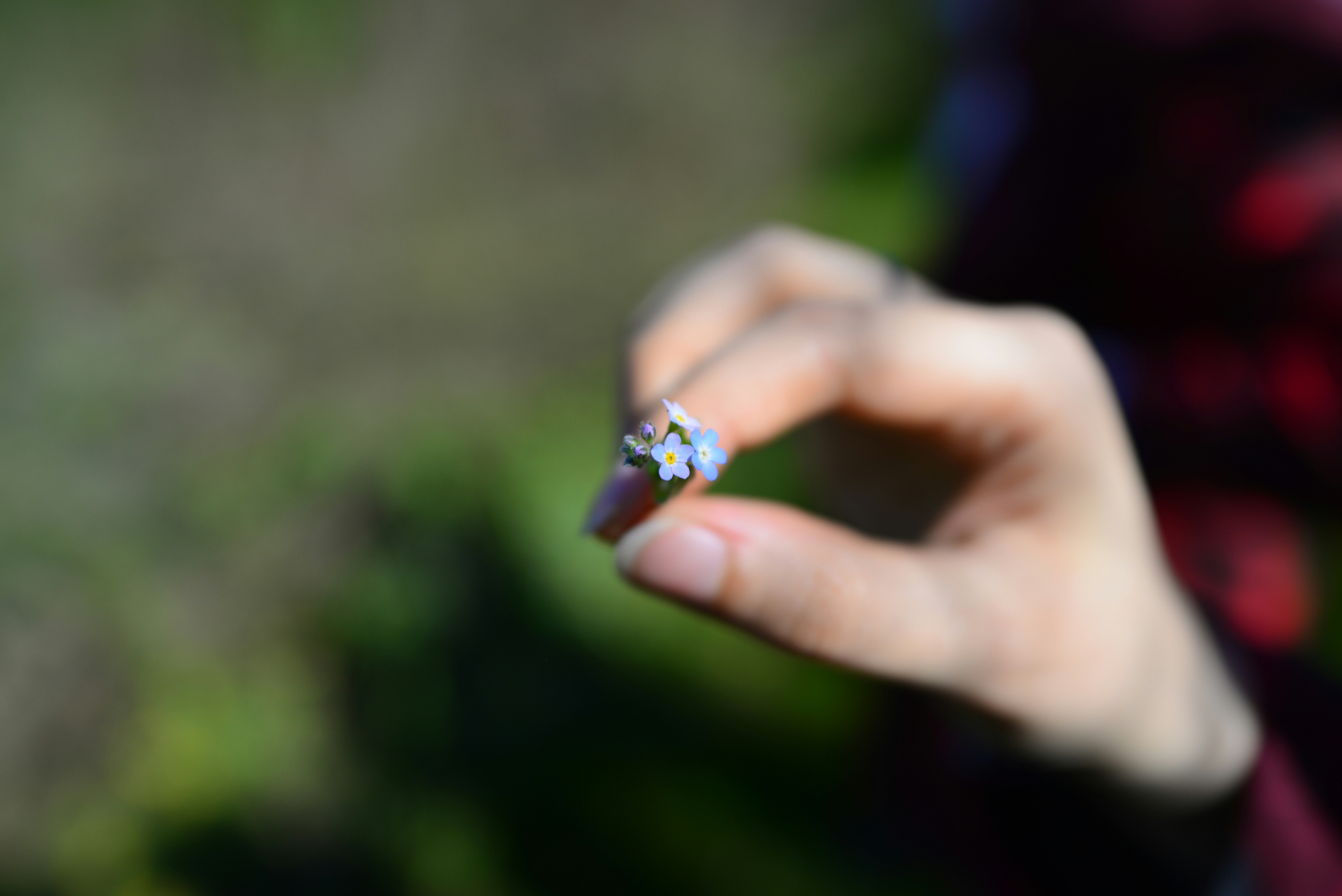 Photo by anyaakbari