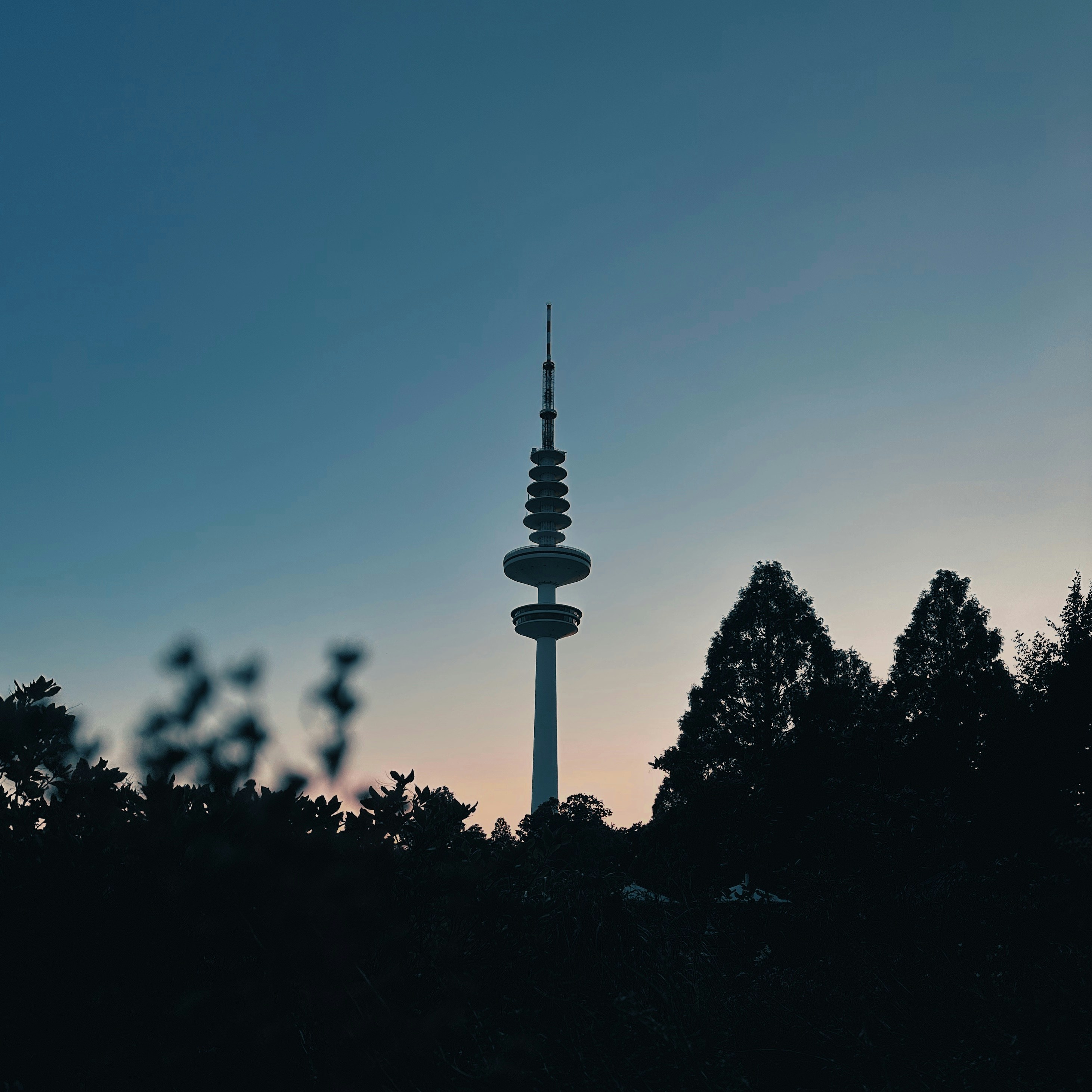 Ein veröffentlichtes Foto