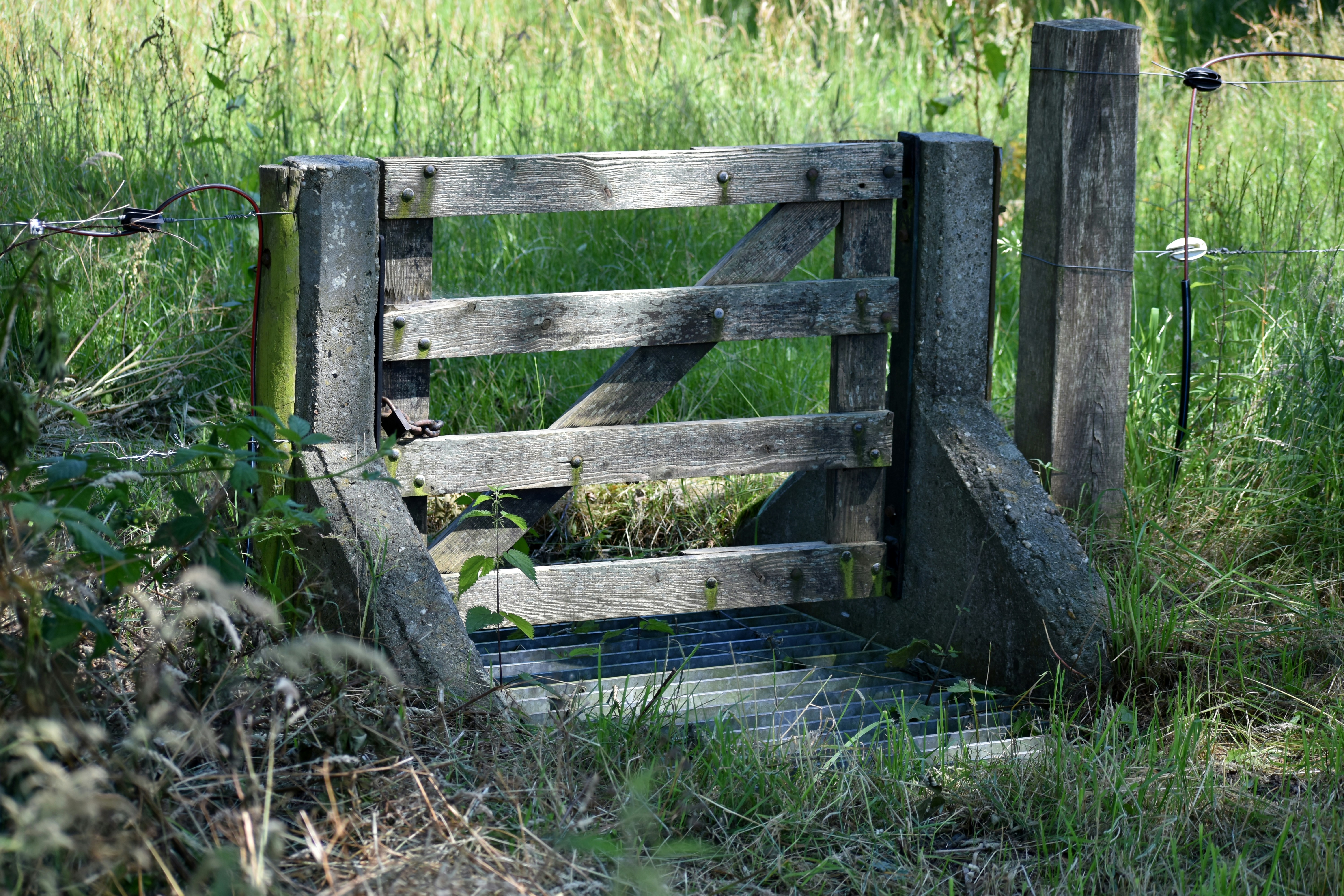 A wooden gate in a grassy field