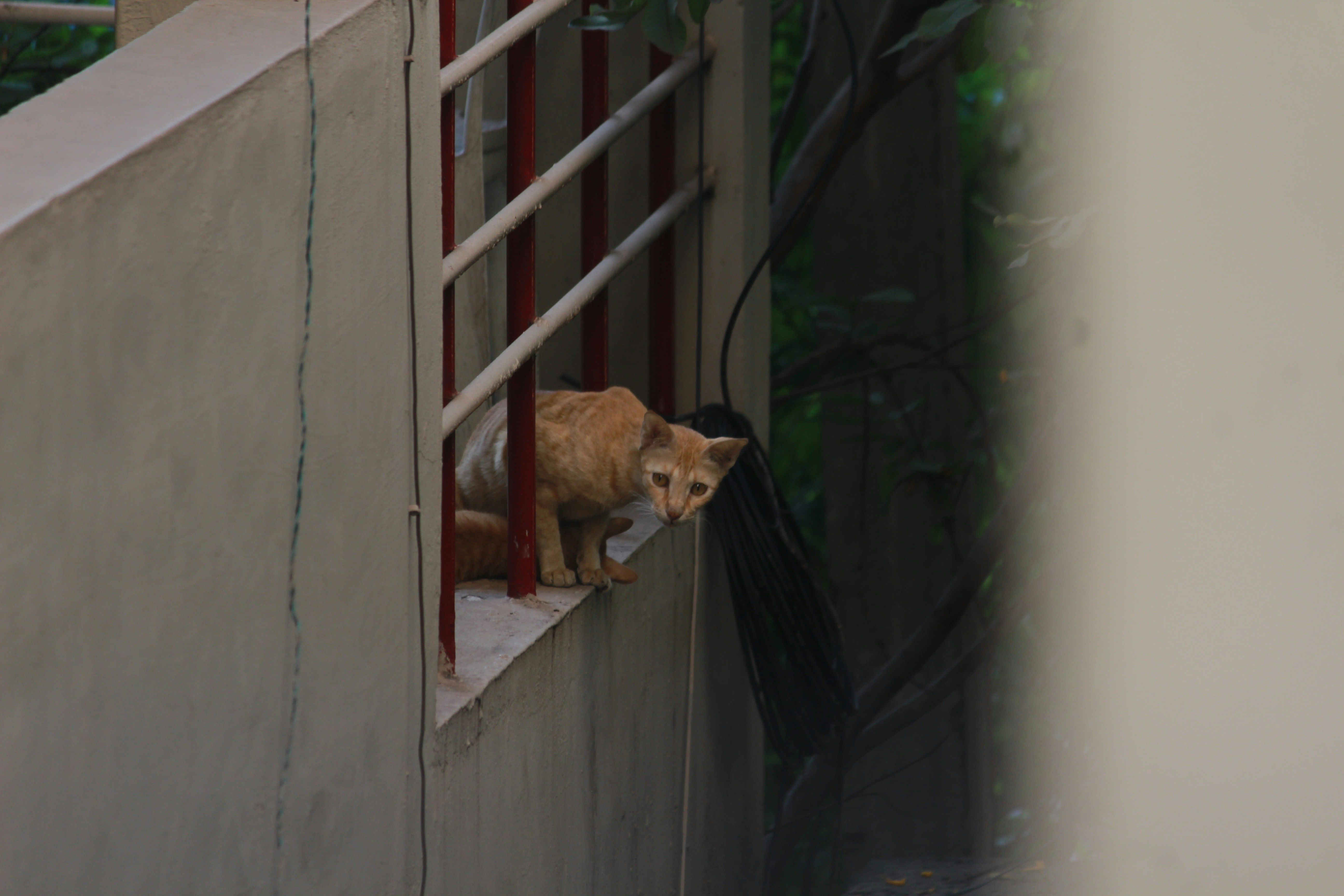 Photo by lenskachakkar