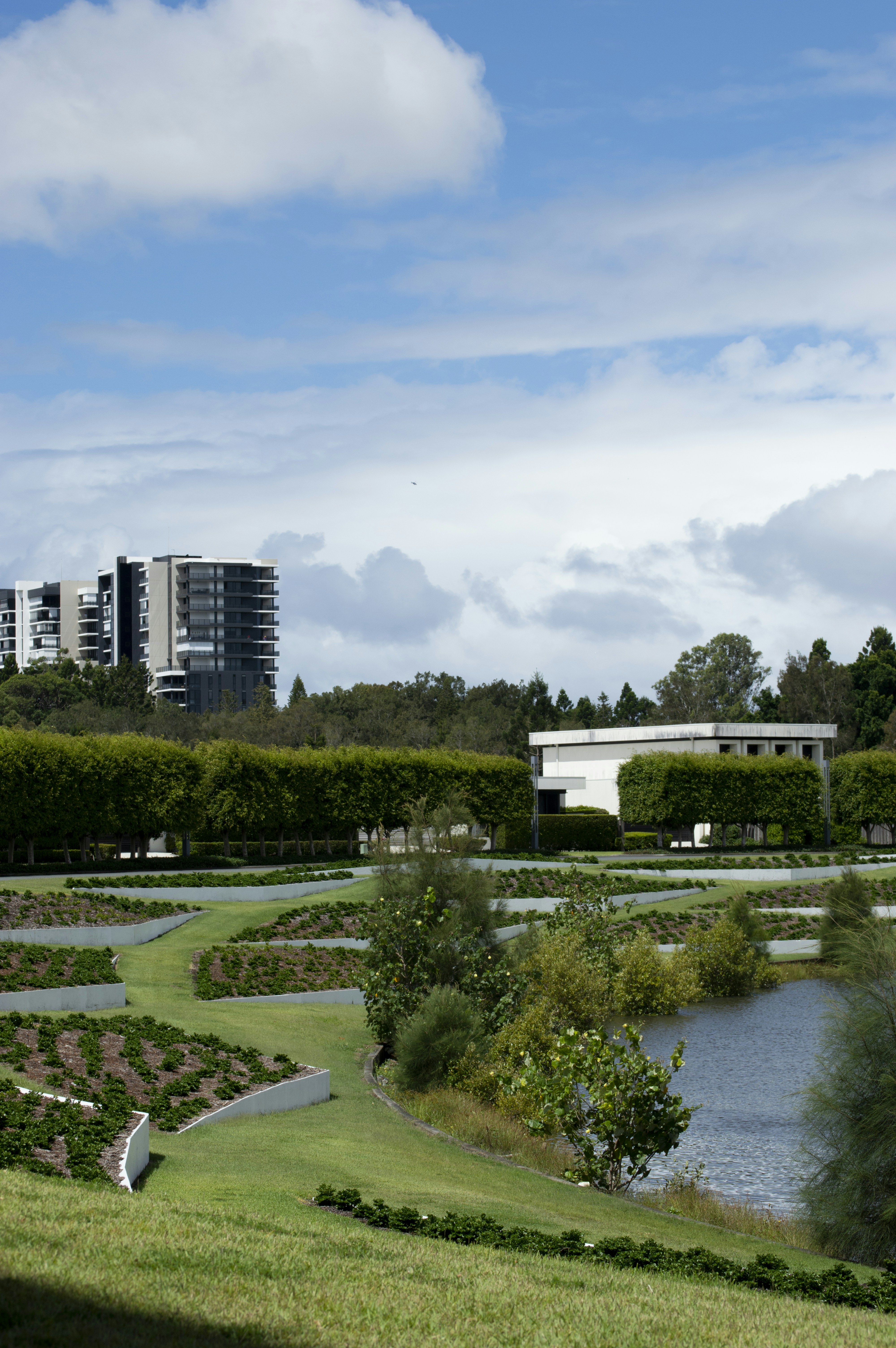 A view of a park with a lake and buildings in the background