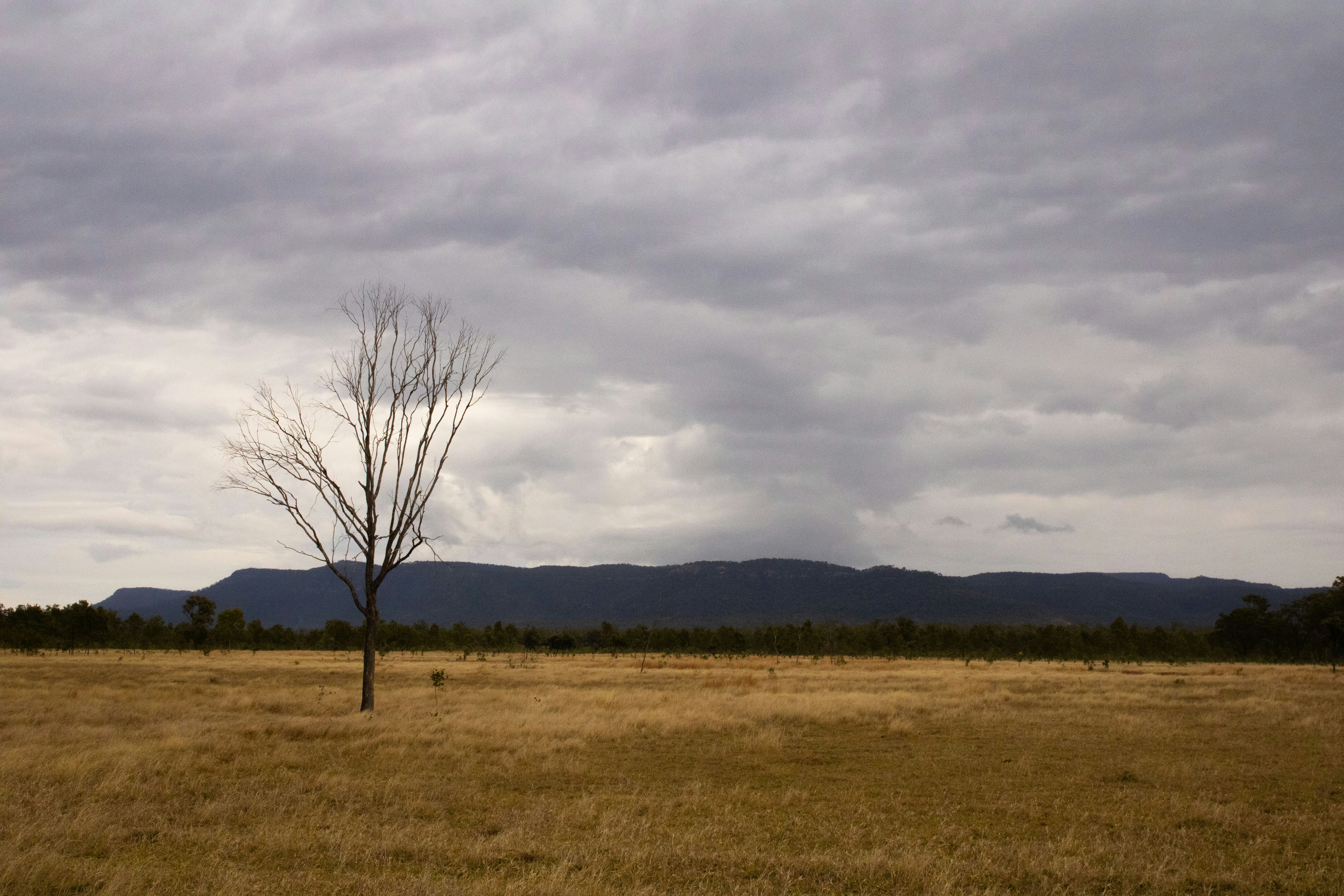 Photo by akire_photo