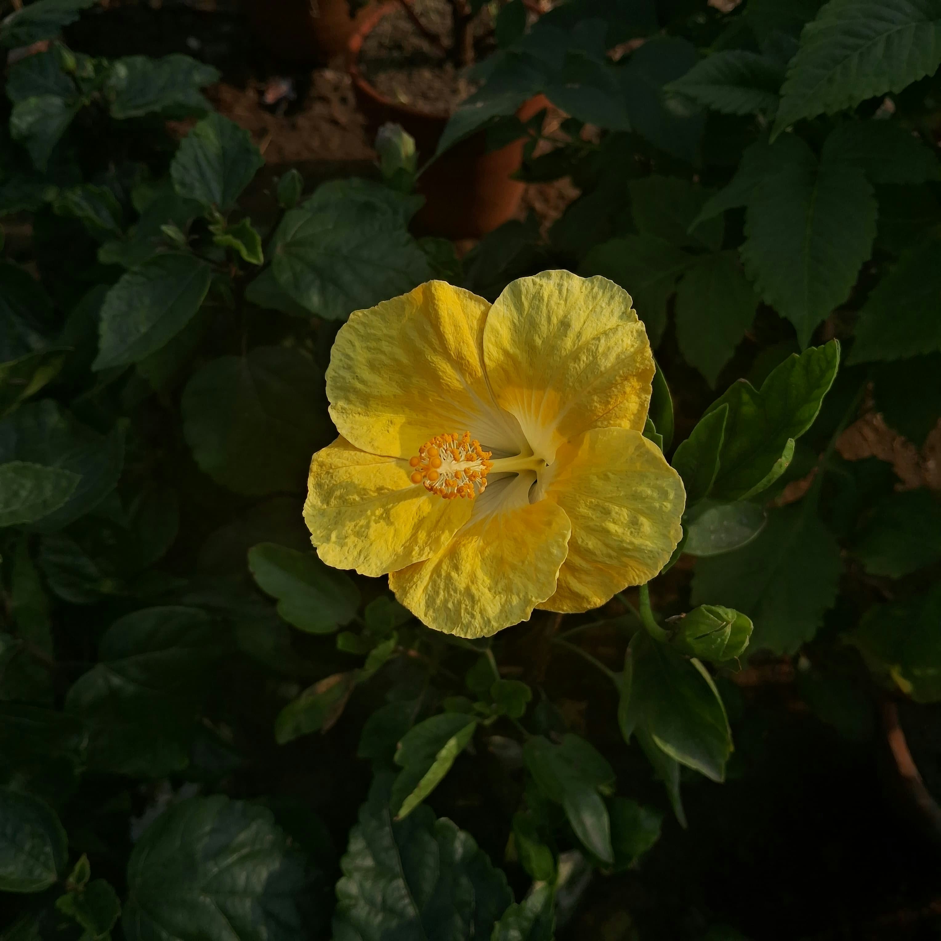 Photo by highskyline0