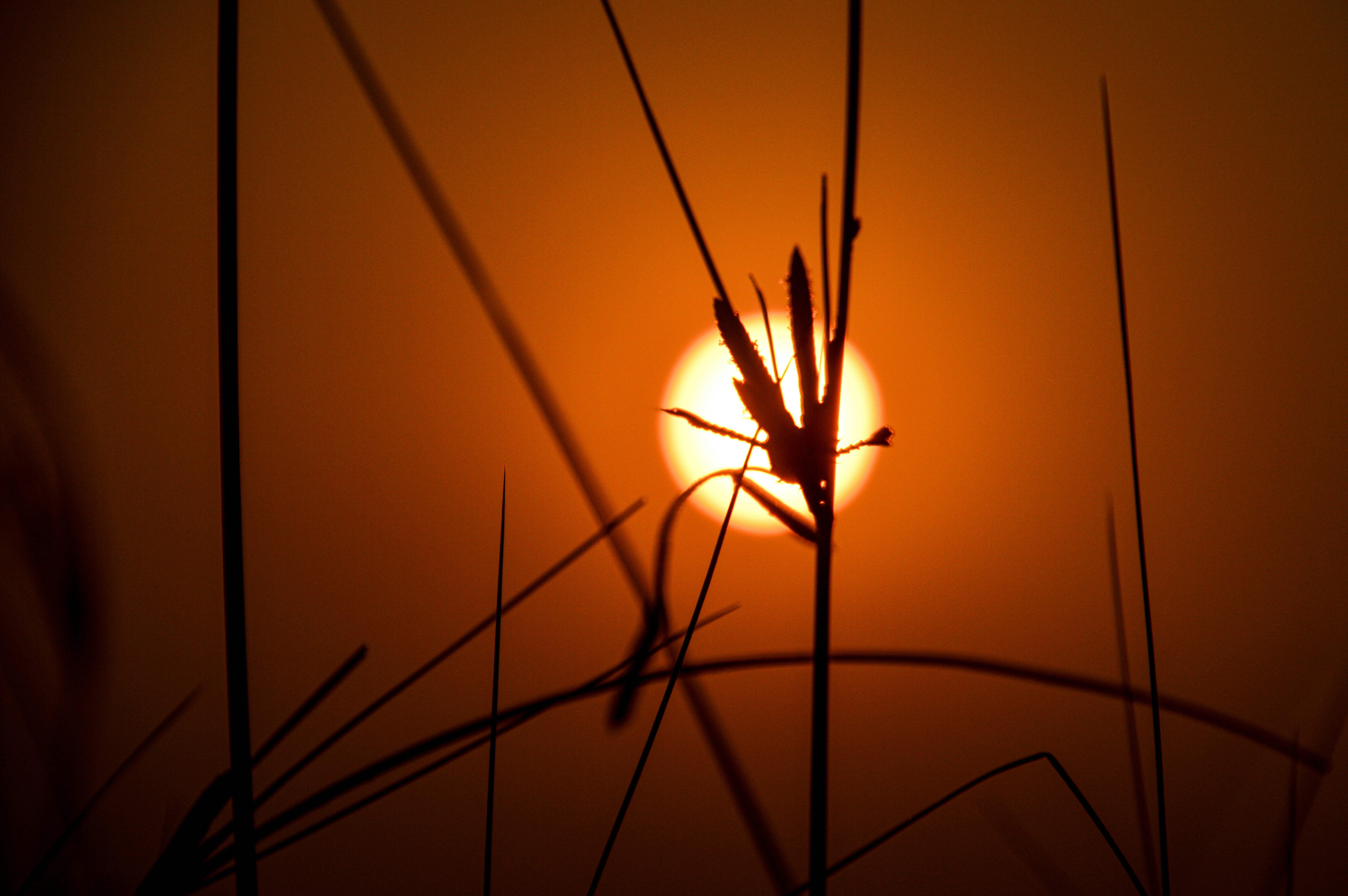 Photo by 26svk