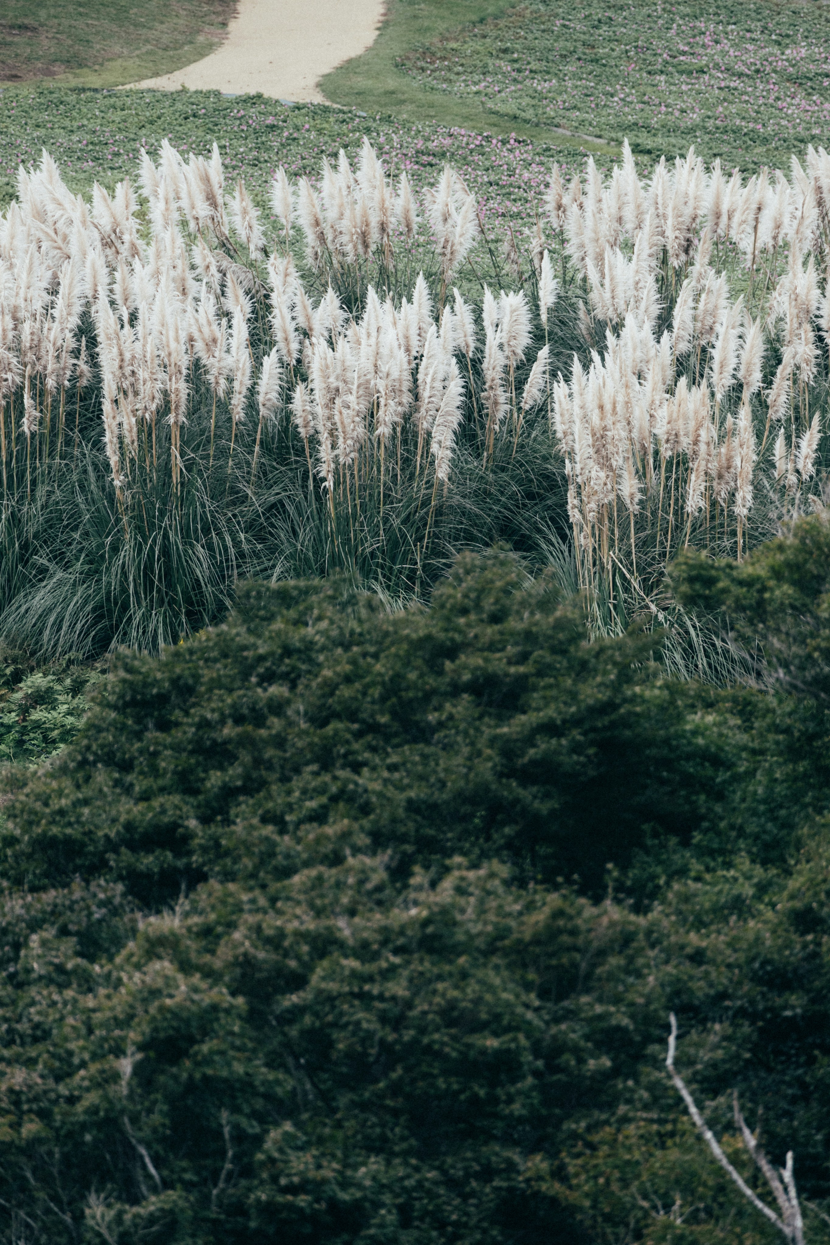 Photo by tsuyoshikozu