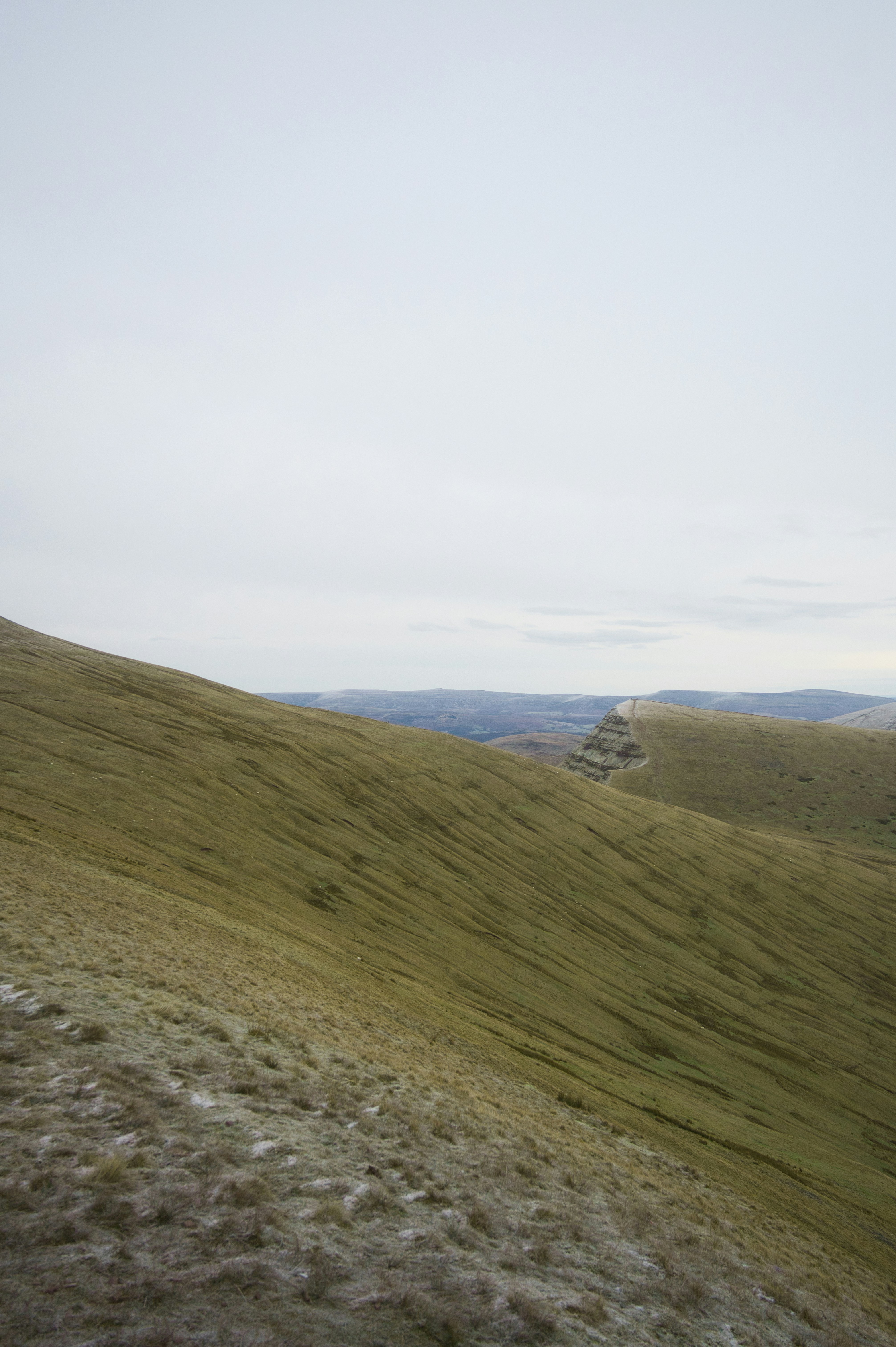 Photo by itsharryshelton