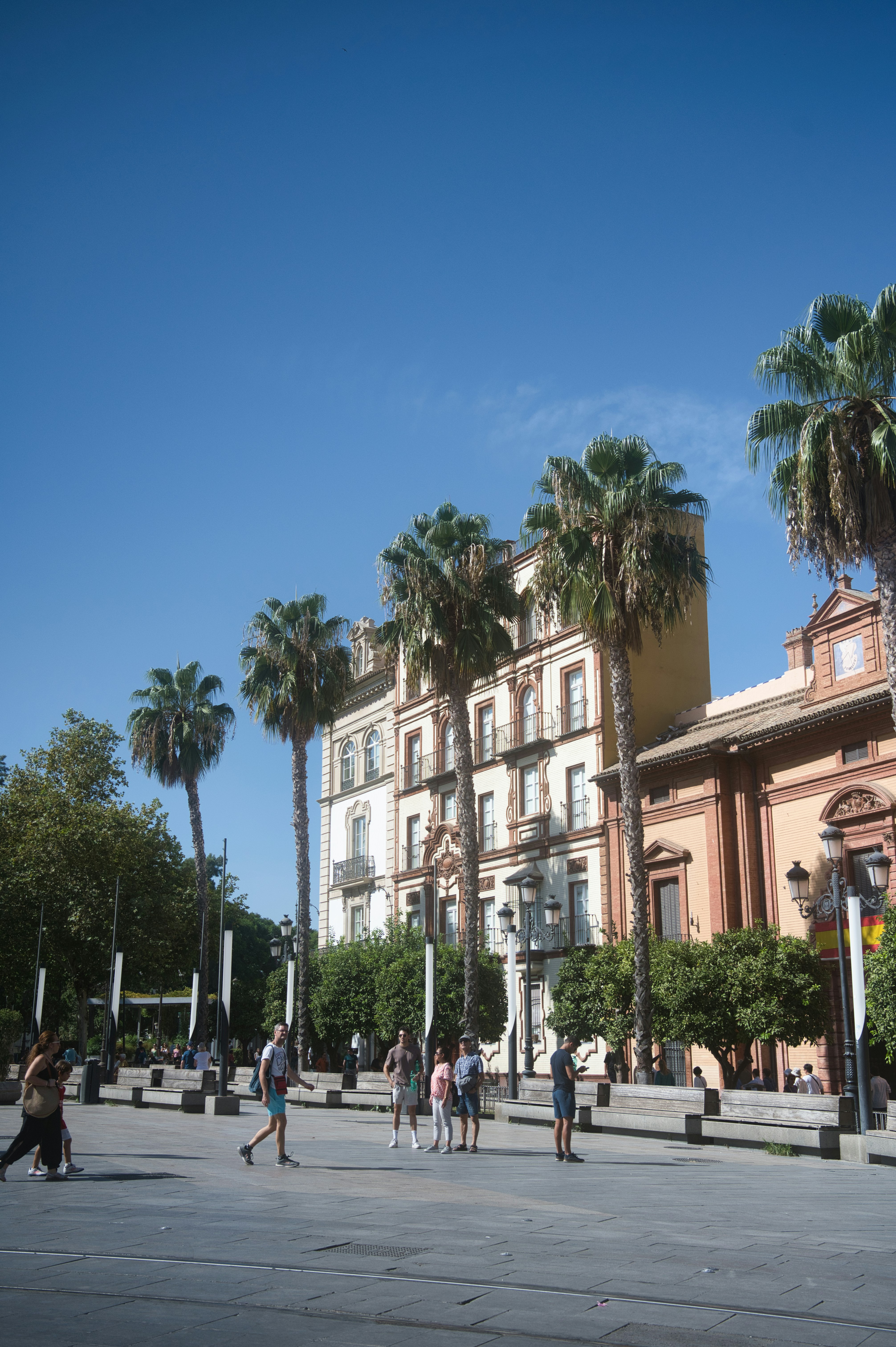 Compañía de servicios automatizados de integración de estudiantes en Sevilla