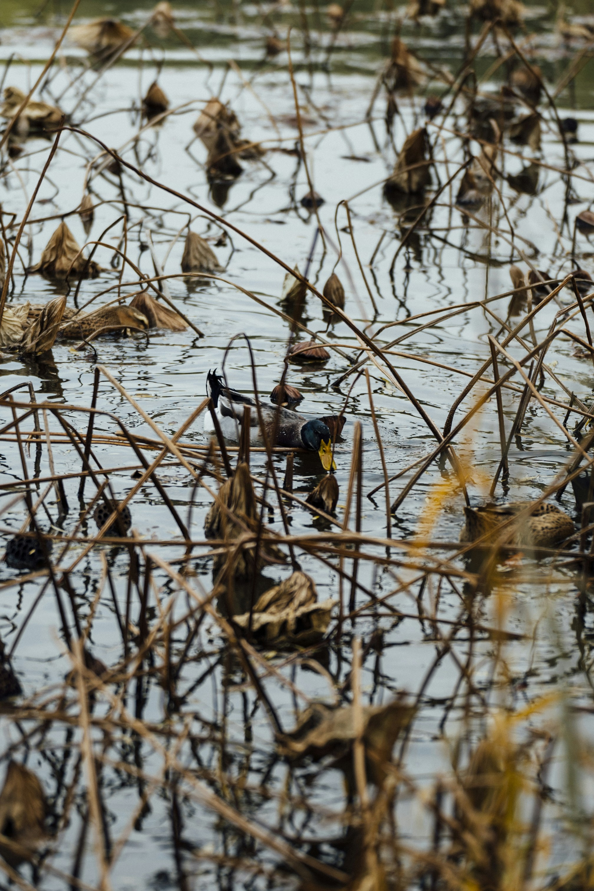 Photo by summerobelisk